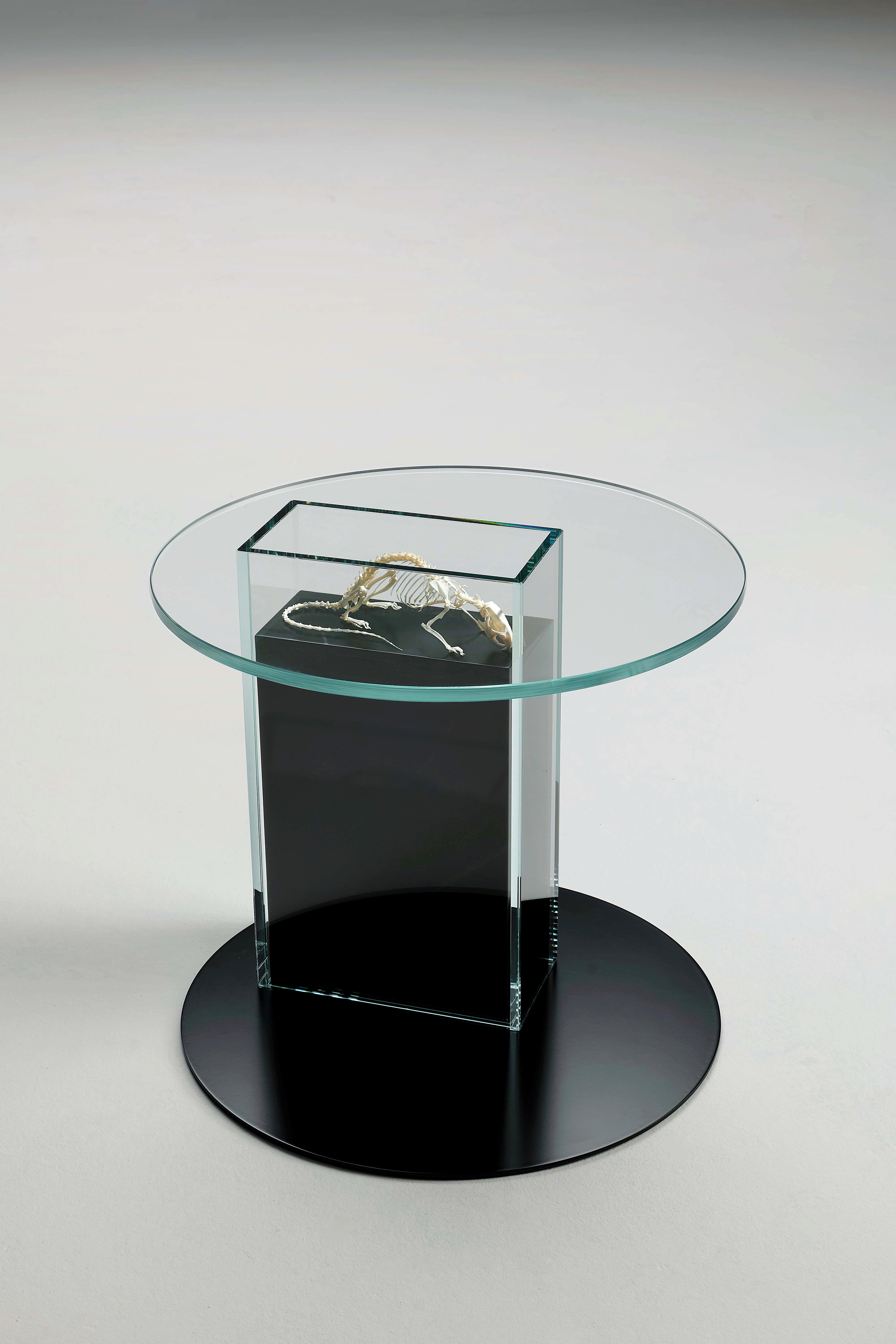 Table basse The Rat par Vetralia
Conçu par Leo De Carlo
Dimensions :  D 48 x H 43 cm
MATERIAL : Verre, acier peint, squelette d'animal.

VETRALIA
Art fonctionnel basé à Venise
Actif dans la proposition de design de collection, Vetralia est un lieu