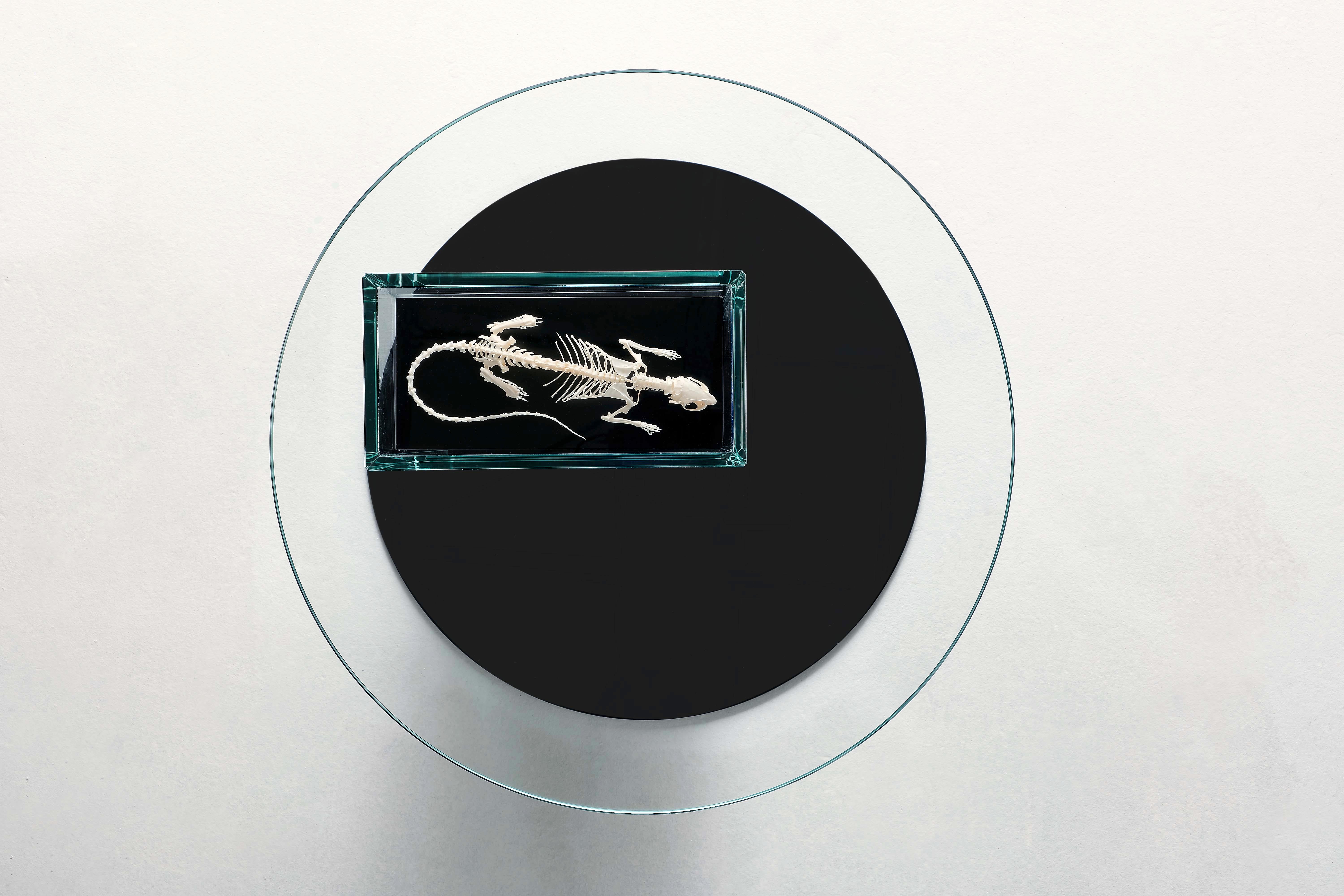 Postmoderne Table basse The Rat par Vetralia en vente