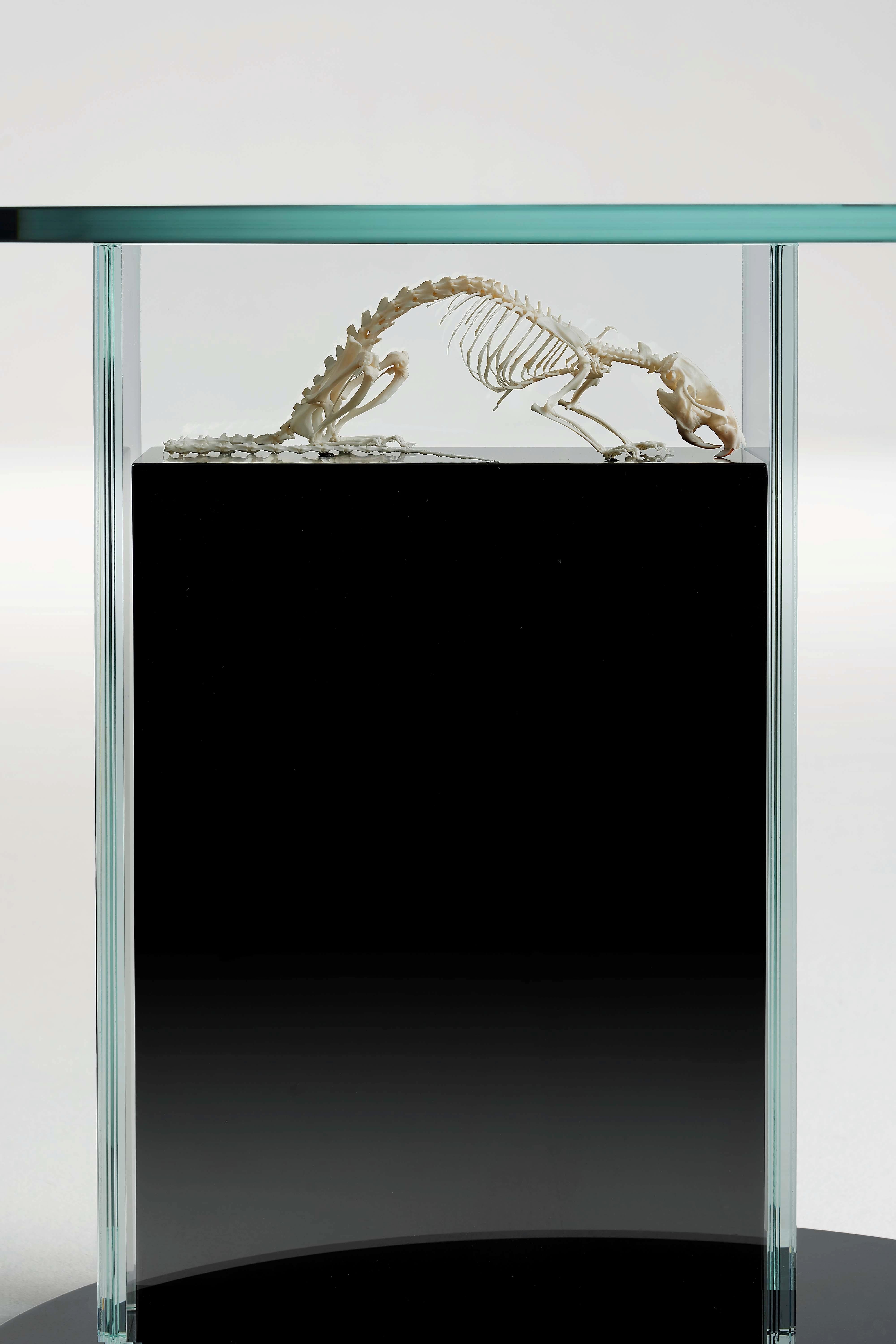 italien Table basse The Rat par Vetralia en vente