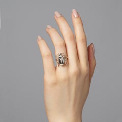 The Rebirth Scarab Ring in Polished Sterling Silver