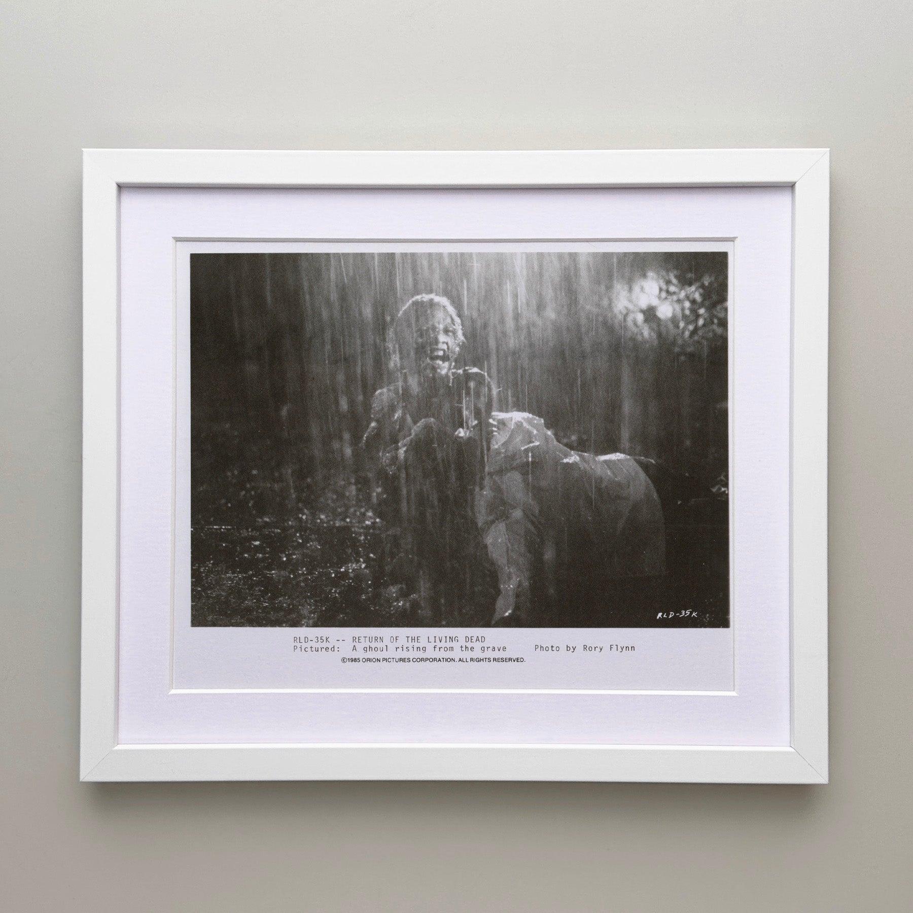 Die Rückkehr der lebenden Toten (1985) Pressestatement - gerahmt (amerikanisch) im Angebot