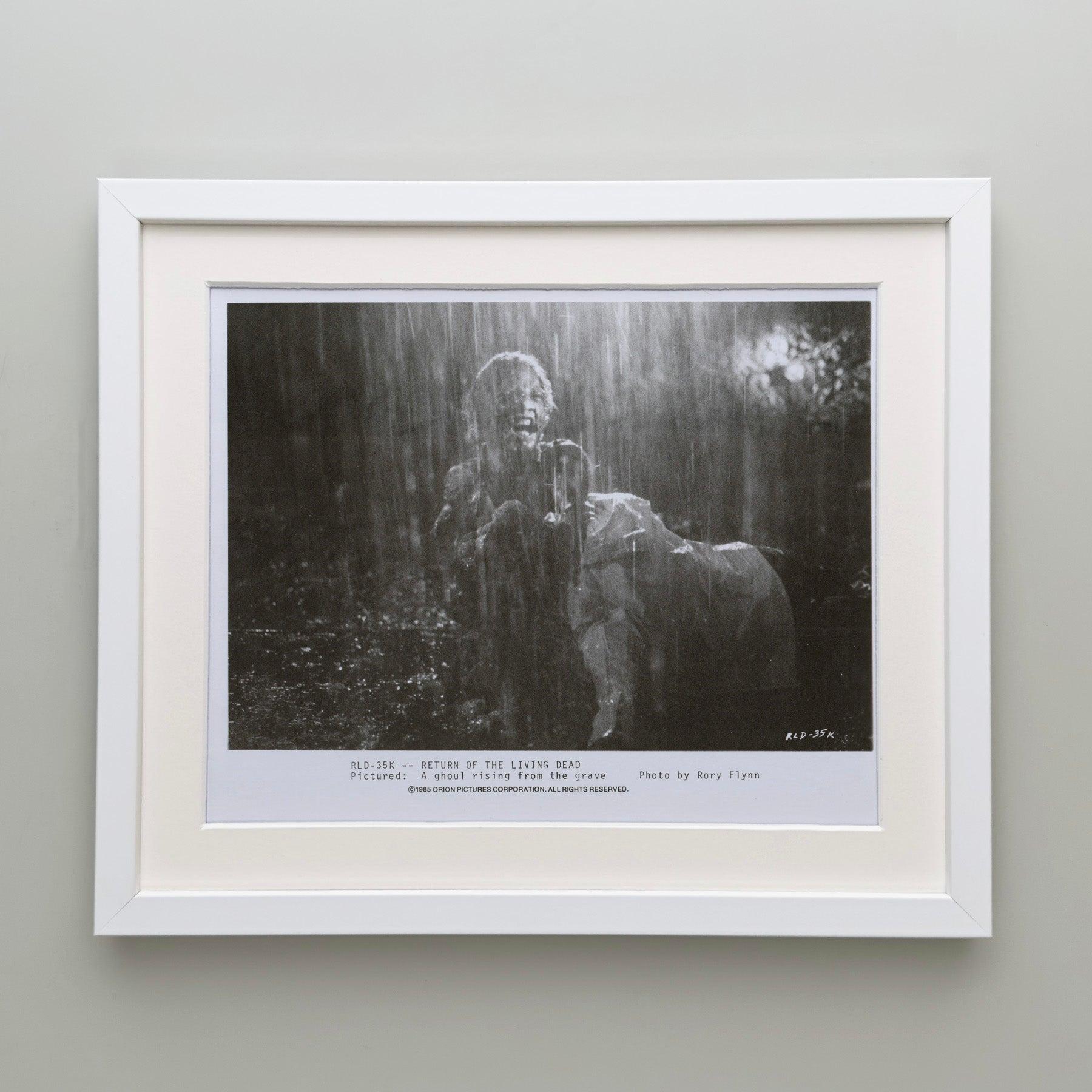 Die Rückkehr der lebenden Toten (1985) Pressestatement - gerahmt im Zustand „Hervorragend“ im Angebot in Bath, Somerset
