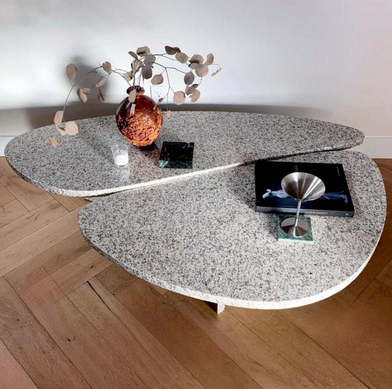 Italiano Il tavolino da caffè a petali di granito 