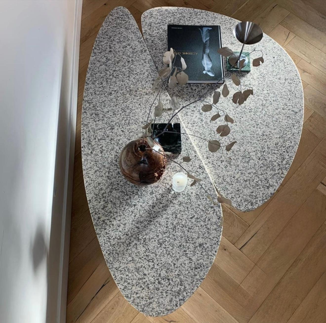 Il tavolino da caffè a petali di granito 