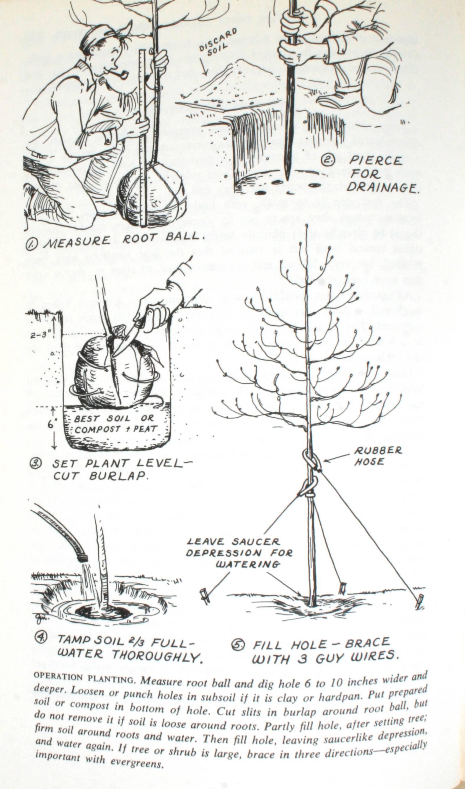 Guide complet de Rockwell pour une jardinière réussie en vente 2