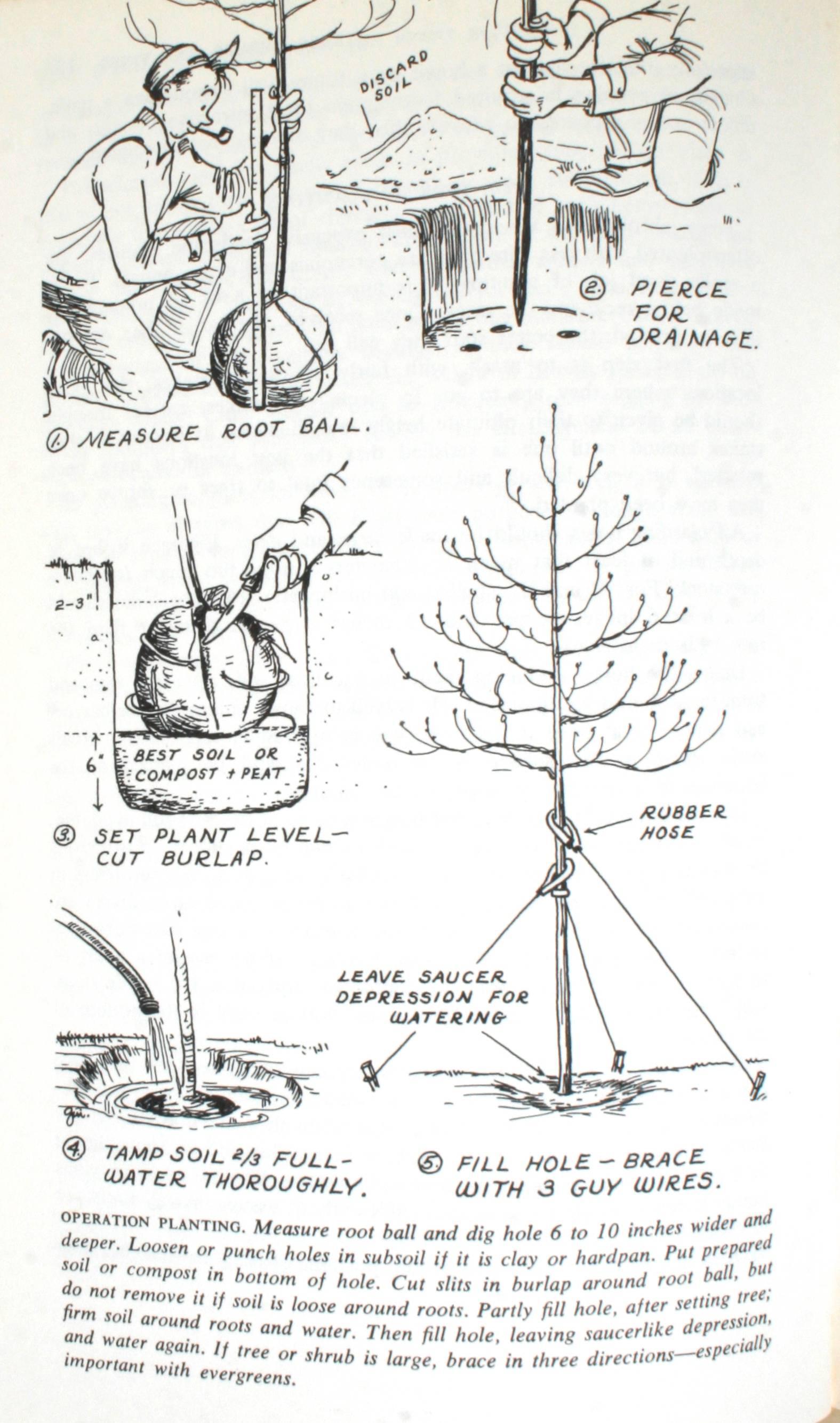 Rockwell's Complete Guide to Successful Gardening For Sale 1