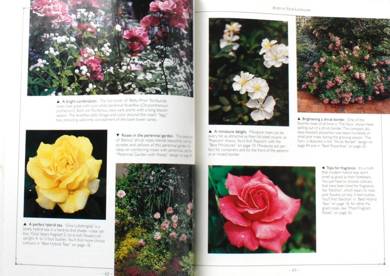 Paper The Rose Book by Maggie Oster For Sale