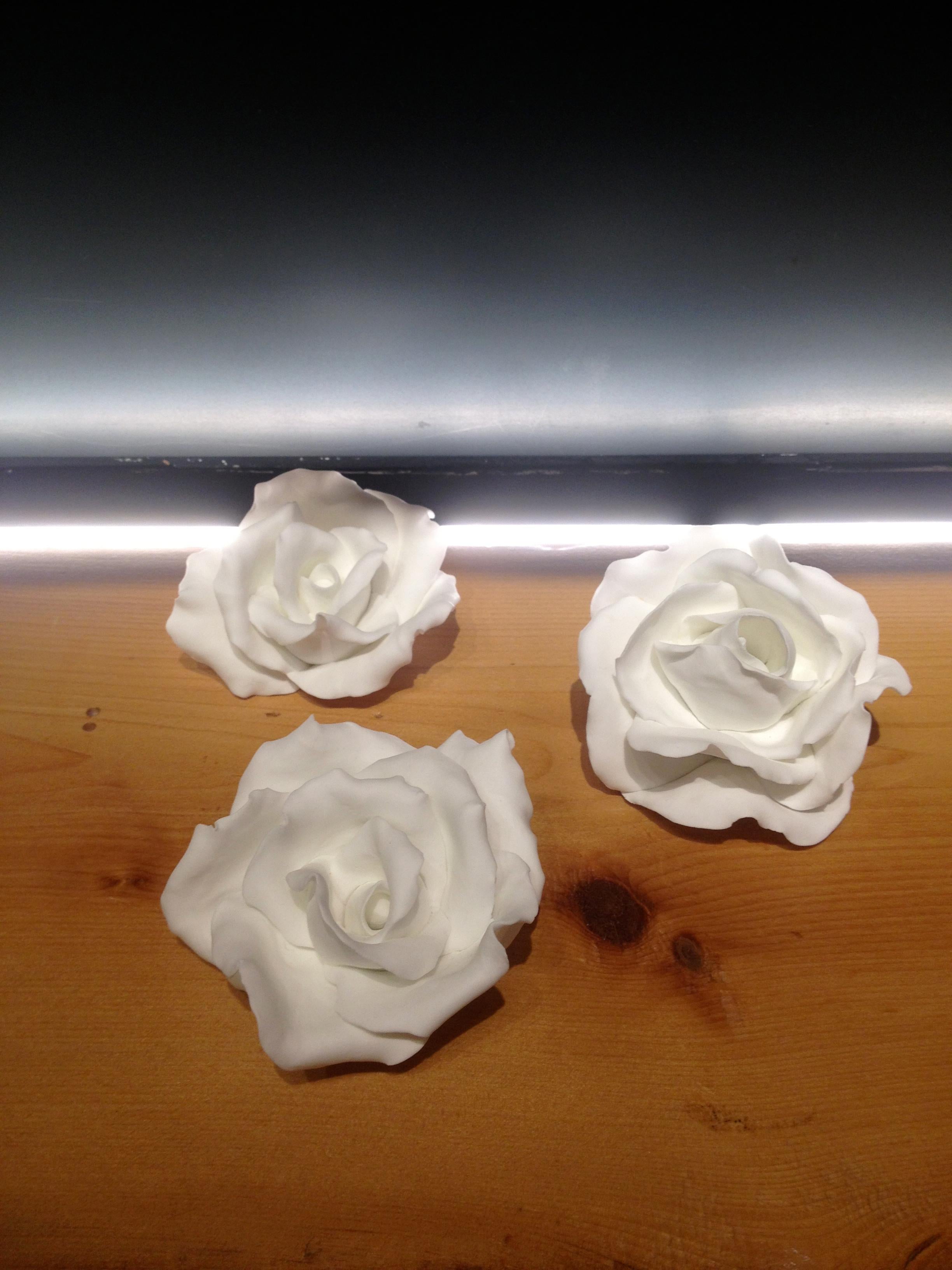 Modern Roses of Sèvres in Biscuit Porcelain by Sèvres For Sale