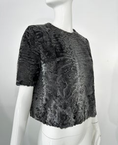 The Row Telleck Top Grey Persian Lamb Short Sleeve Pull On Silk Lined Top 36