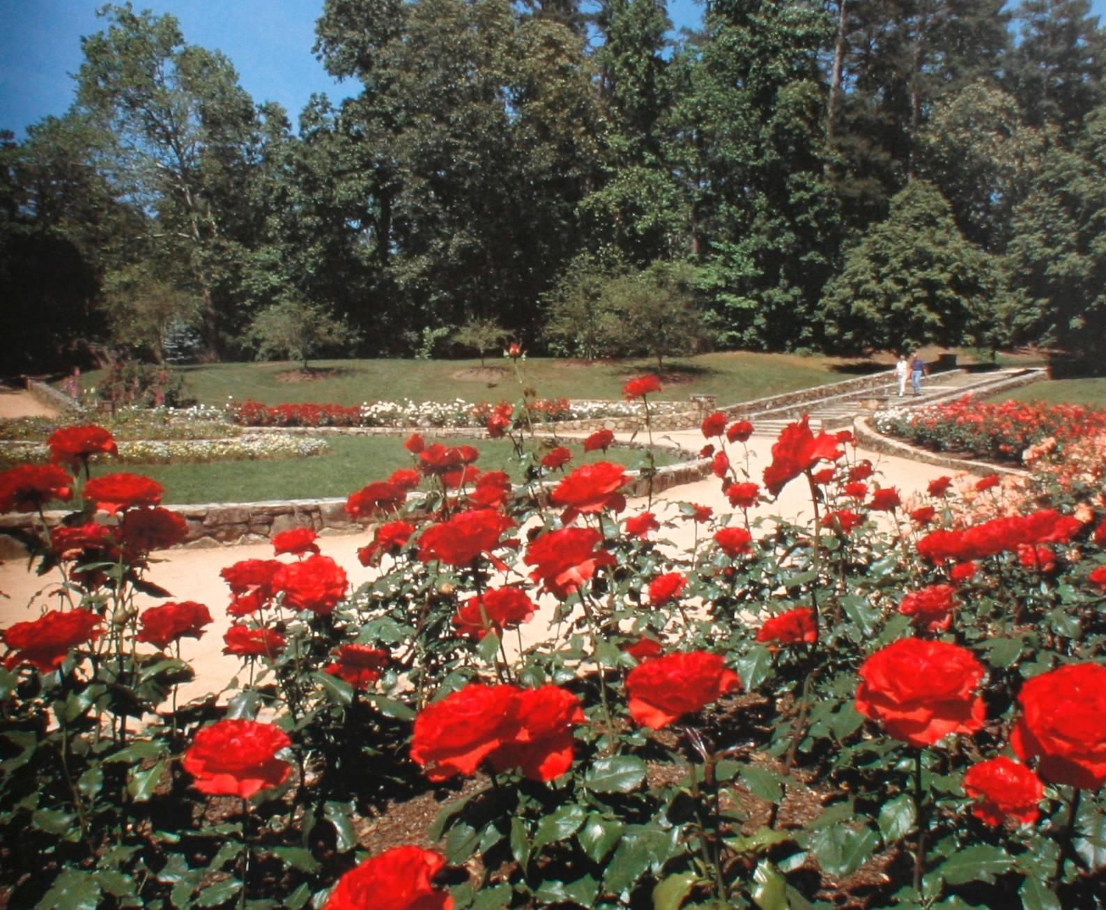 « The Sarah P. Duke Gardens, A Wonderful Wander » (Un voyage merveilleux), première édition en vente 4