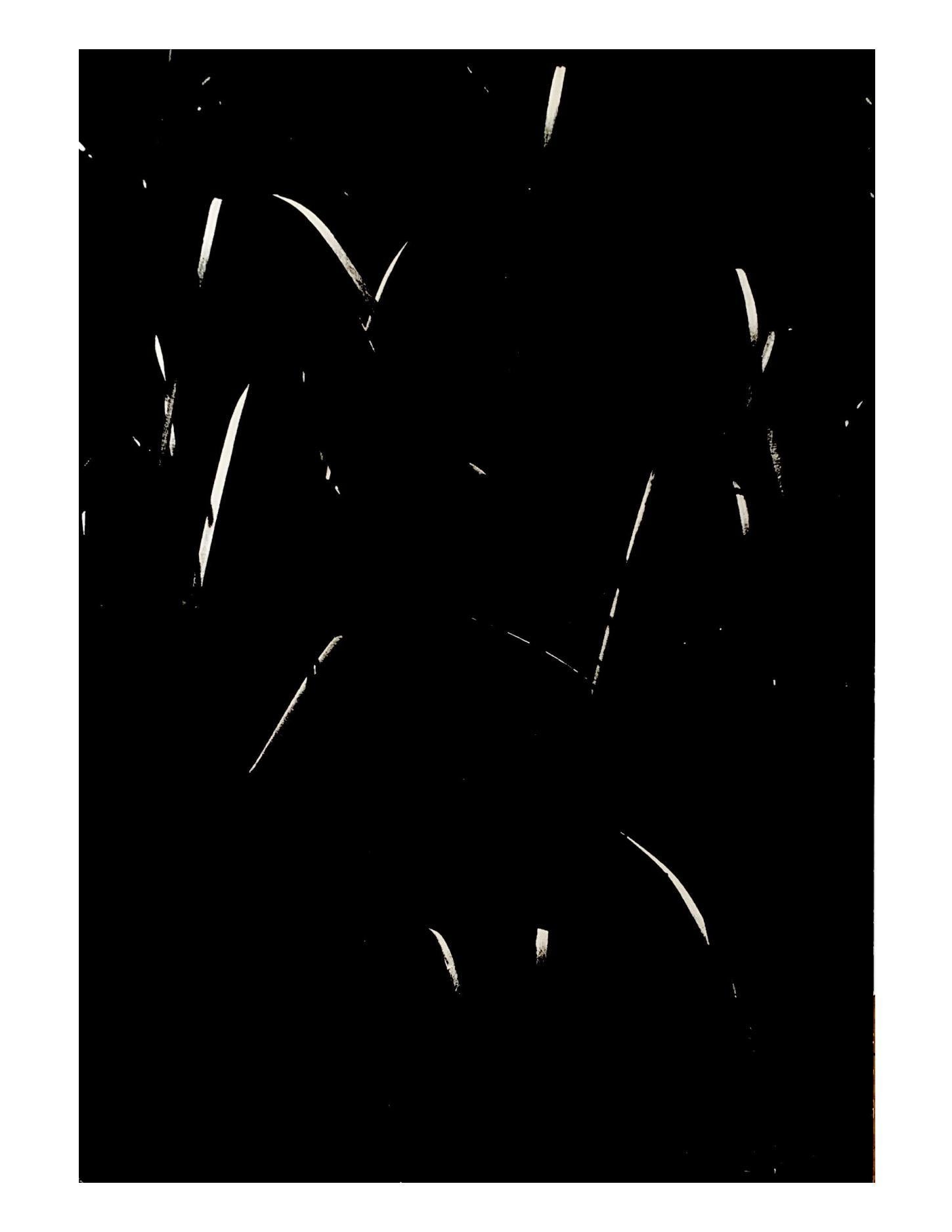 - La Camargue secrète par L.A. 
2 x héliogravures vintage sur papier lourd semi-brillant, signées au crayon en bas à droite par Lucien Clergue.
1976
H 34 cm 
L : 25 cm 
D : 1 cm 

En parfait état !

Lucien Clergue est un photographe français, né le