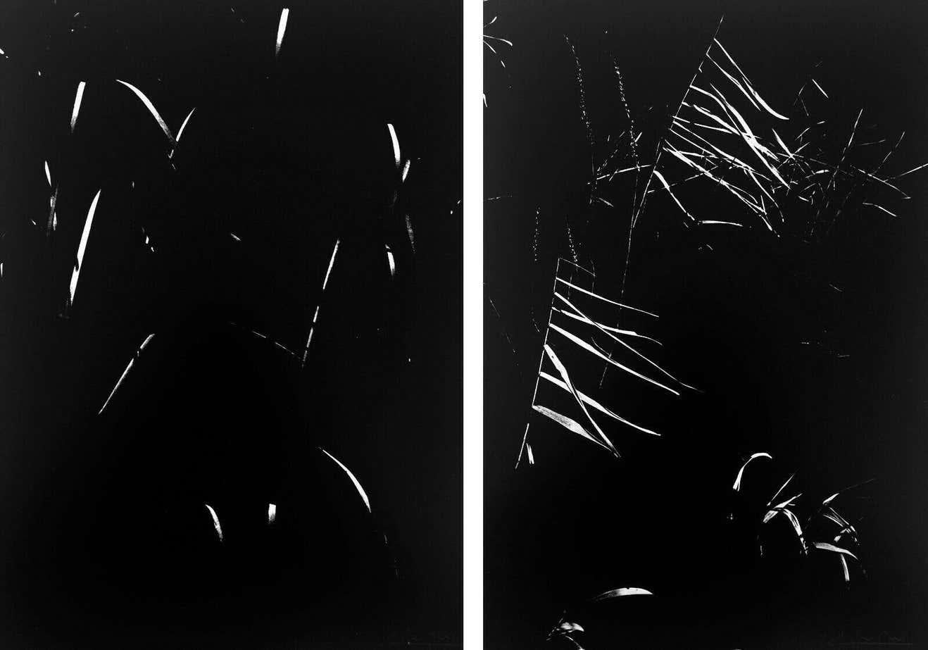 La Camarga secreta de L. Clergue en Bueno estado para la venta en Saint ouen, FR
