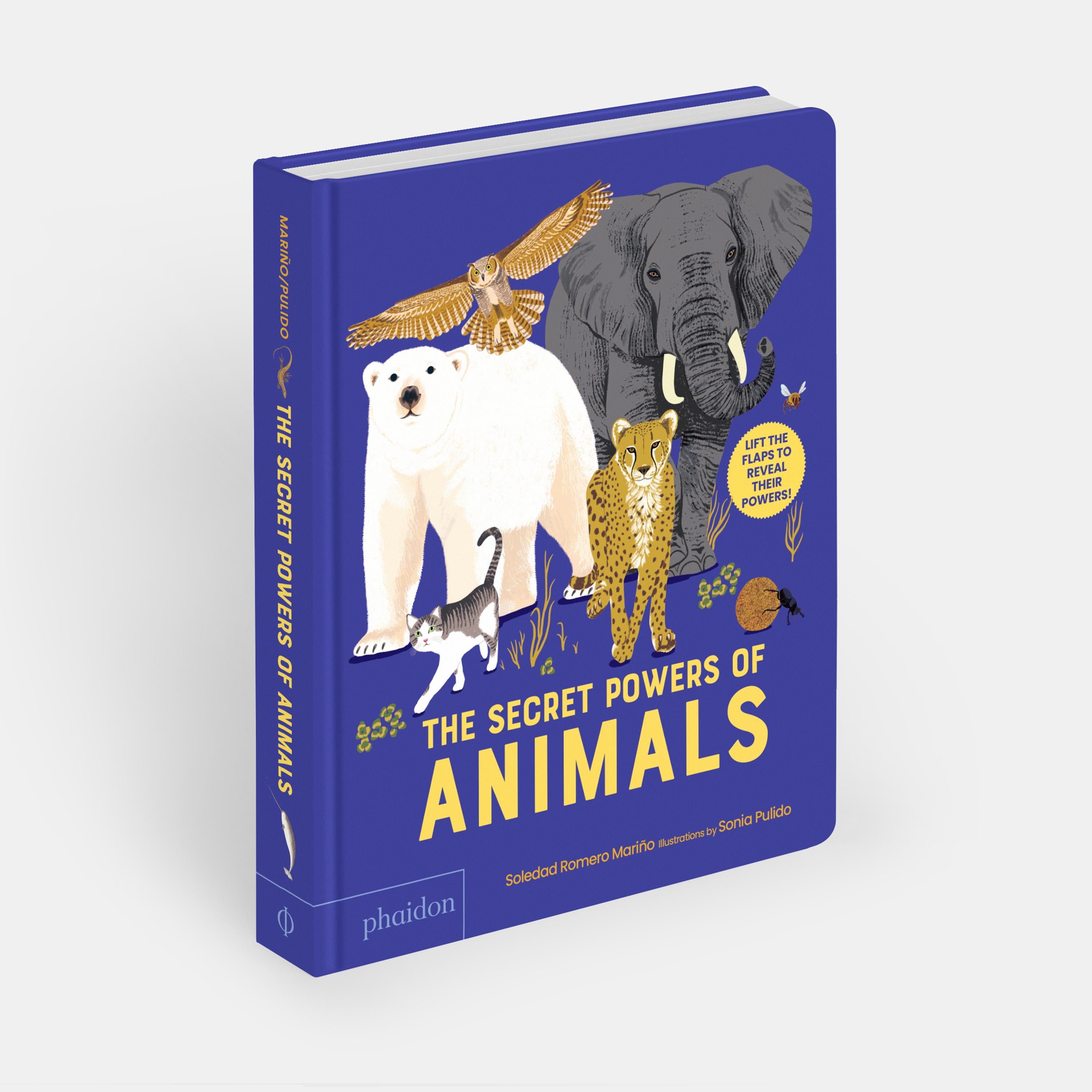 Chinois Les pouvoirs secrets des animaux en vente