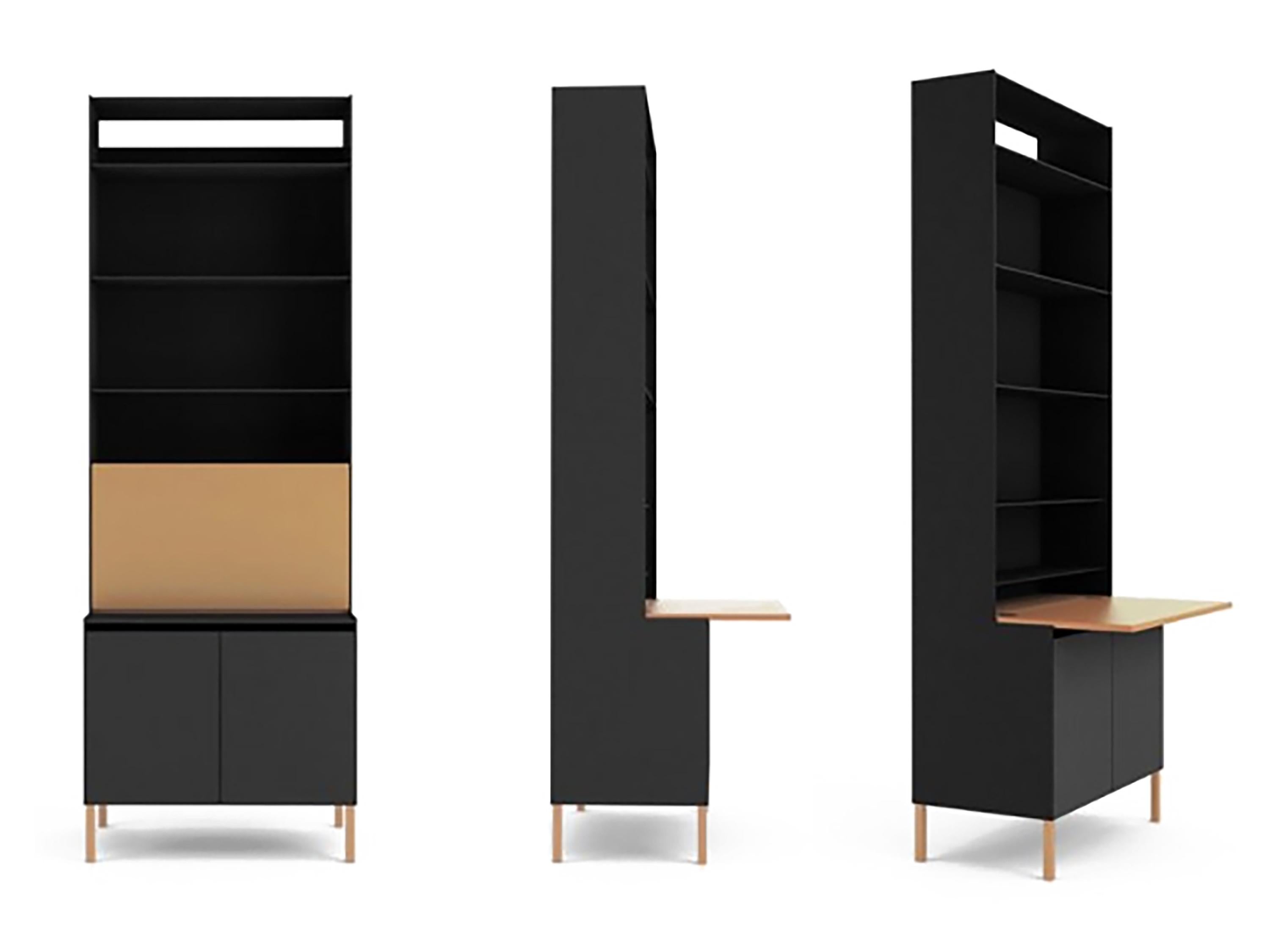 The Secretary: Designed by American industrial and furniture designer Jonathan Nesci, and is made of powder-coated aluminum, steel, and leather.

___

This is a beautifully built, minimal modern, secretary/bookcase that has substantial height,