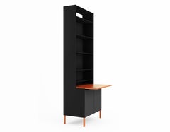 The Secretary by Jonathan Nesci in Powder Coated Aluminum Plate with Leather