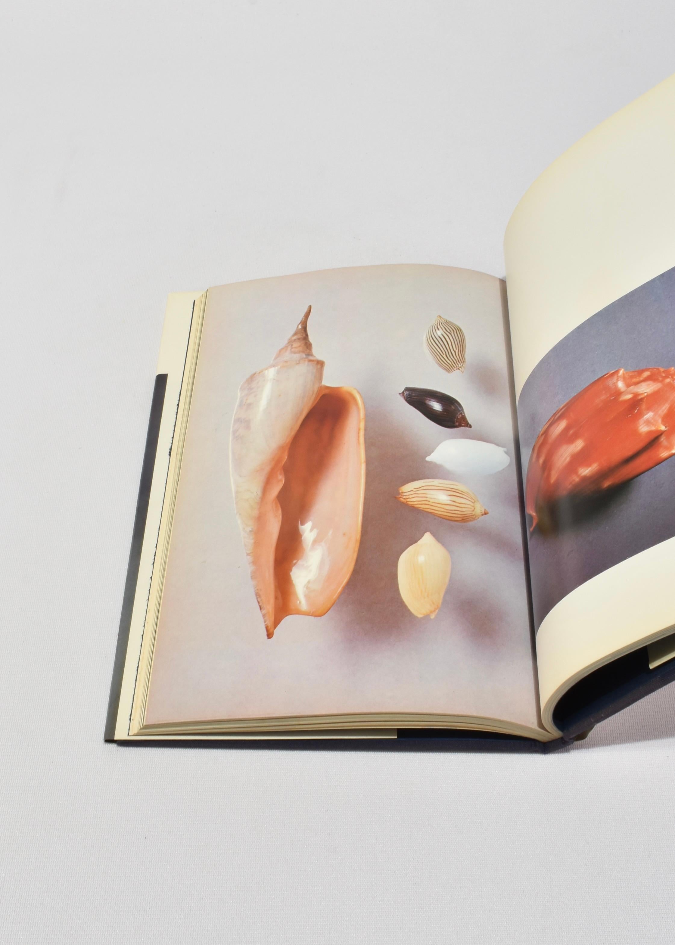 The Shell 1
