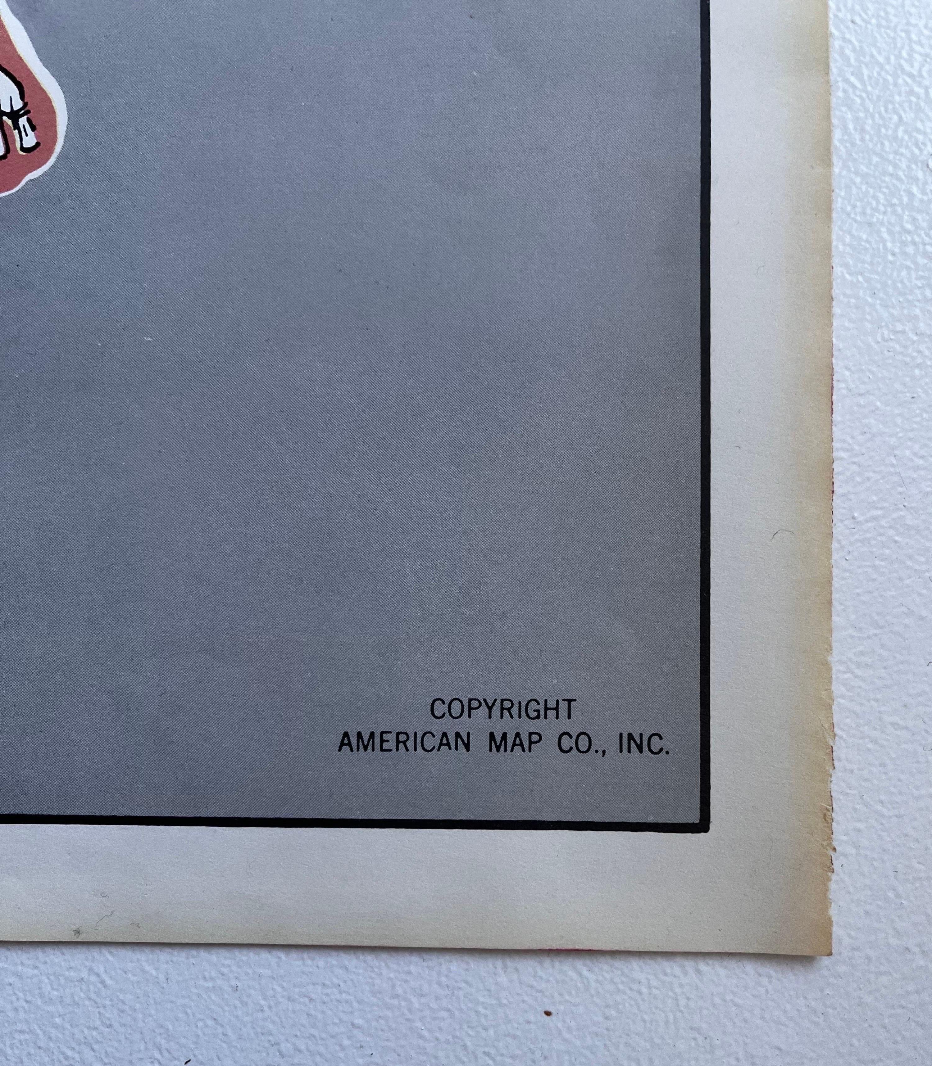 Américain Affiche du système squelettique d'American Map Co.  en vente