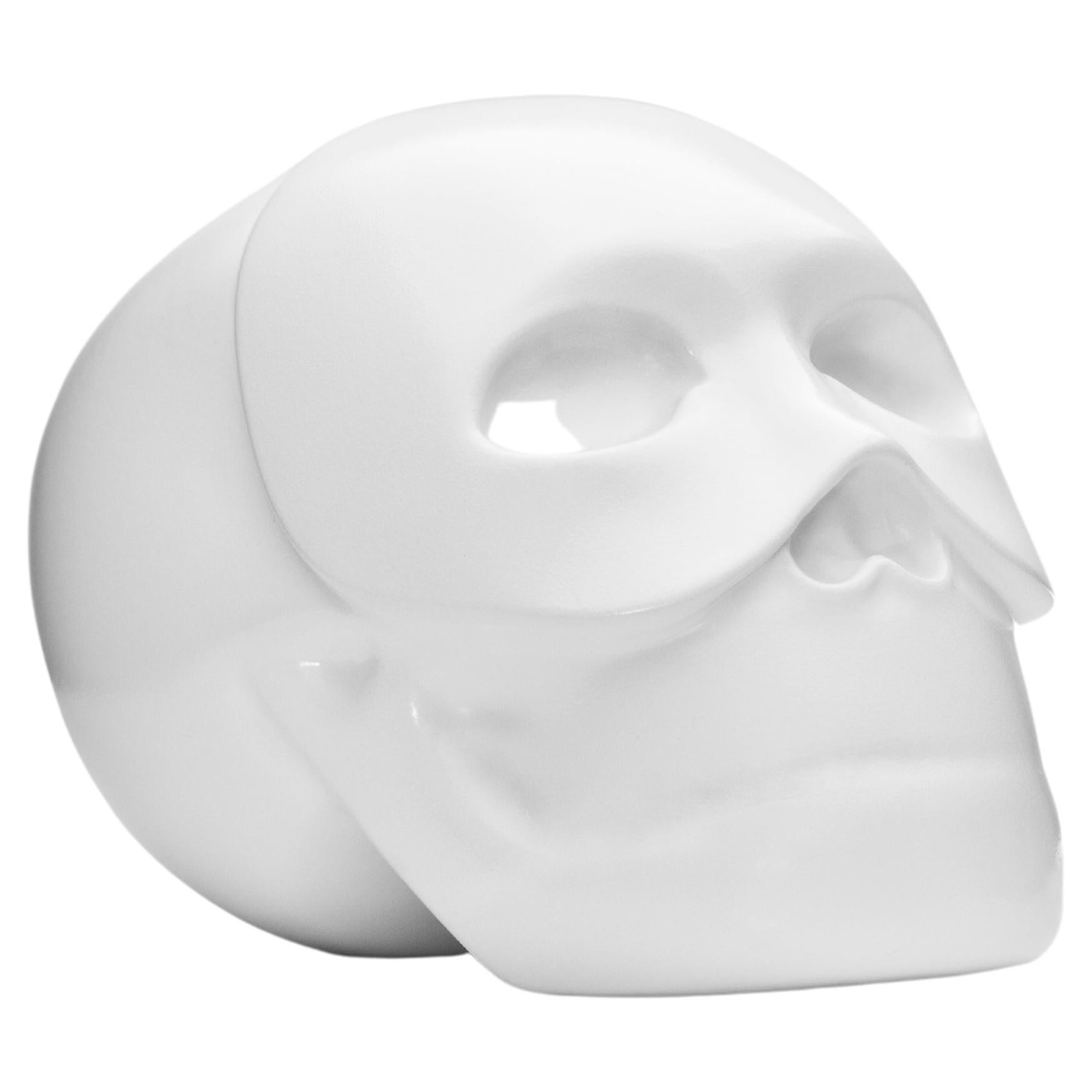 THE SKULL "My Essence"  hand-painted resin sculpture by Gio Pagani For Sale