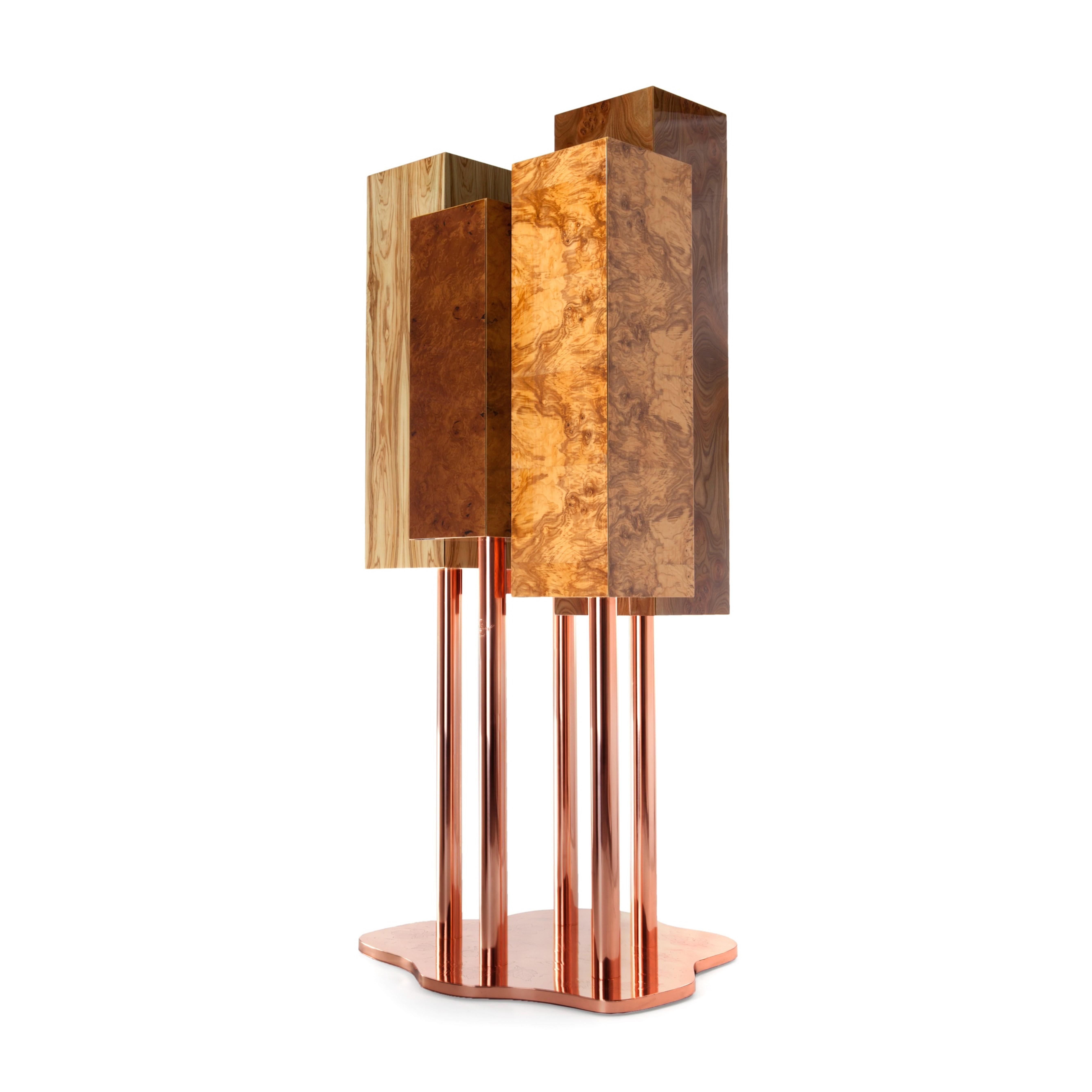 Portuguese Special Tree Cabinet, Woods and Copper, InsidherLand by Joana Santos Barbosa For Sale