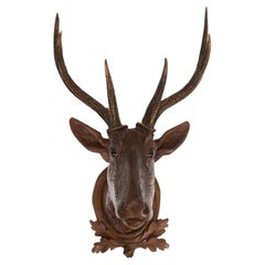 The Stag of the Black Forest: Early 19th Century Carved Deer Head w/ Real Antler