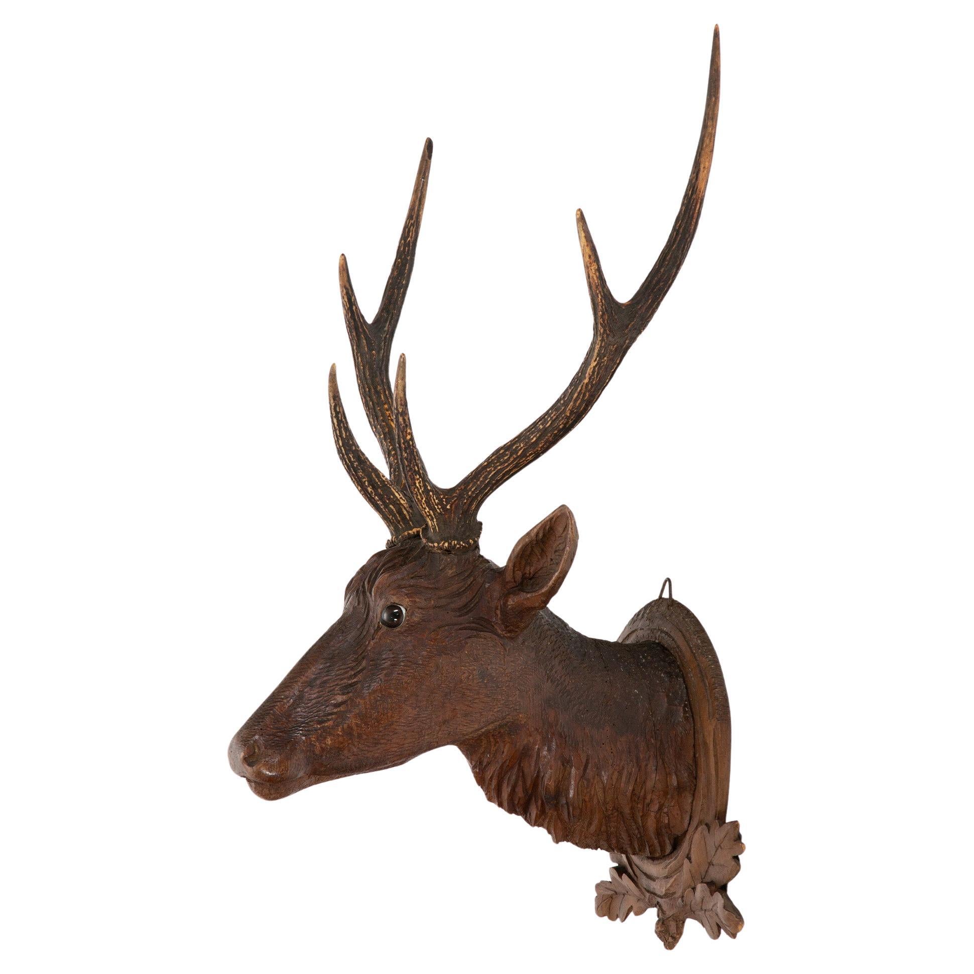 The Stag of the Black Forest: Early 19th Century Carved Deer Head w/ Real Antler