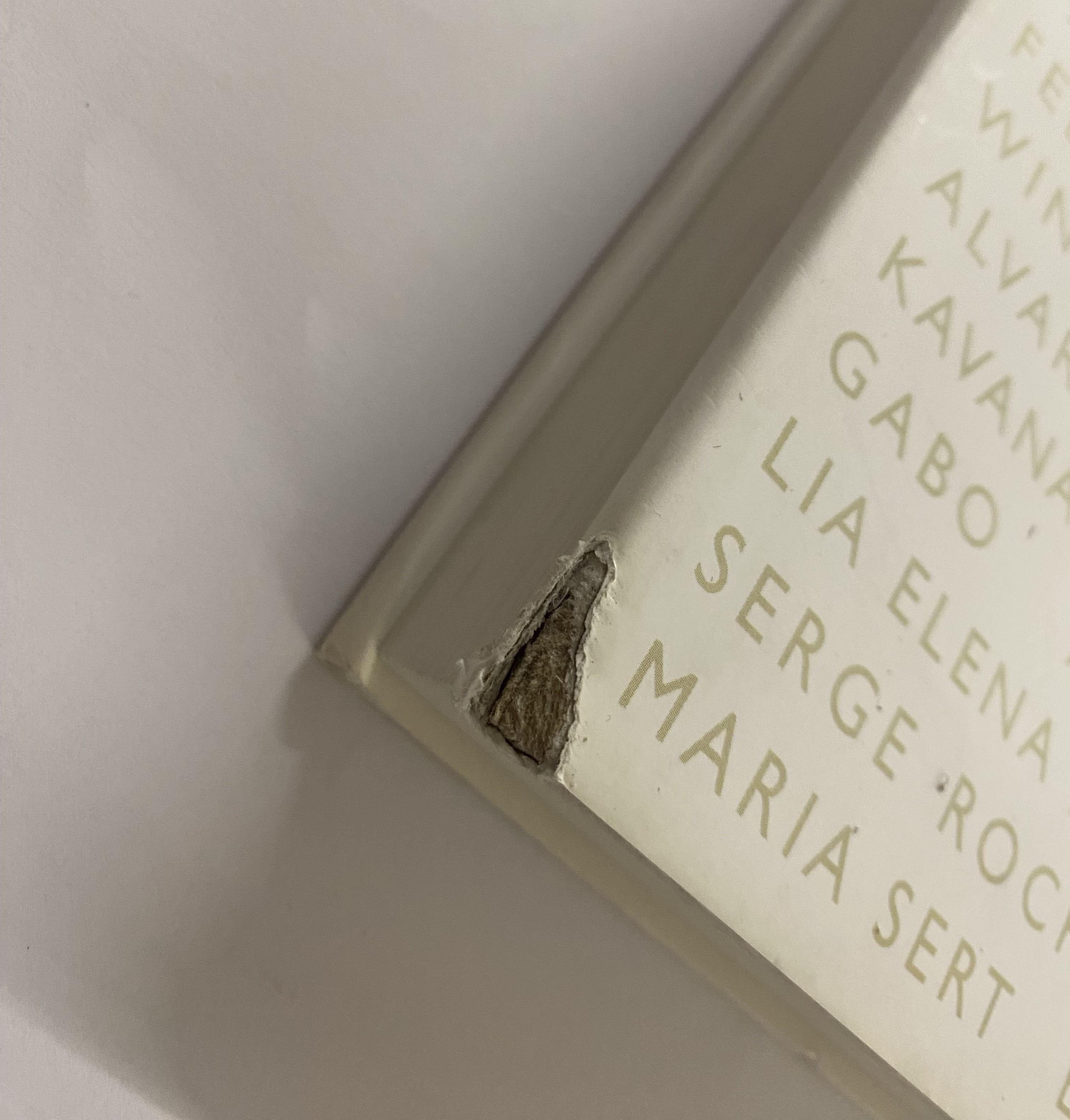 The Stylemaker: Minimalismo e modernismo classico 1915-1945 (Libro) in vendita 15