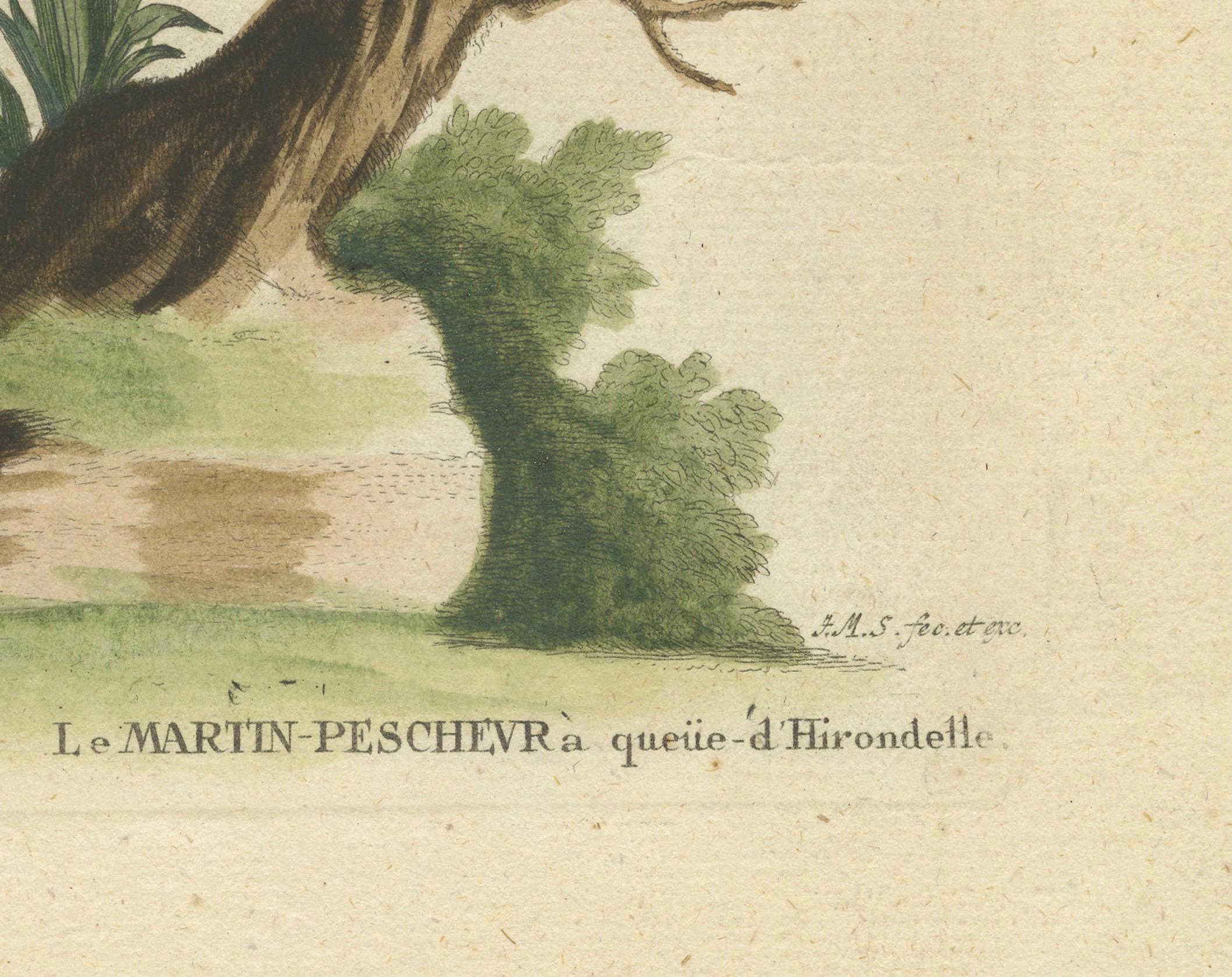 This engraving is from the Johann Michael Seligmann's collection, based on the works of George Edwards that was published in 1743. 

The text in the image is in both German and Latin, with a French name included as well, which was a common practice