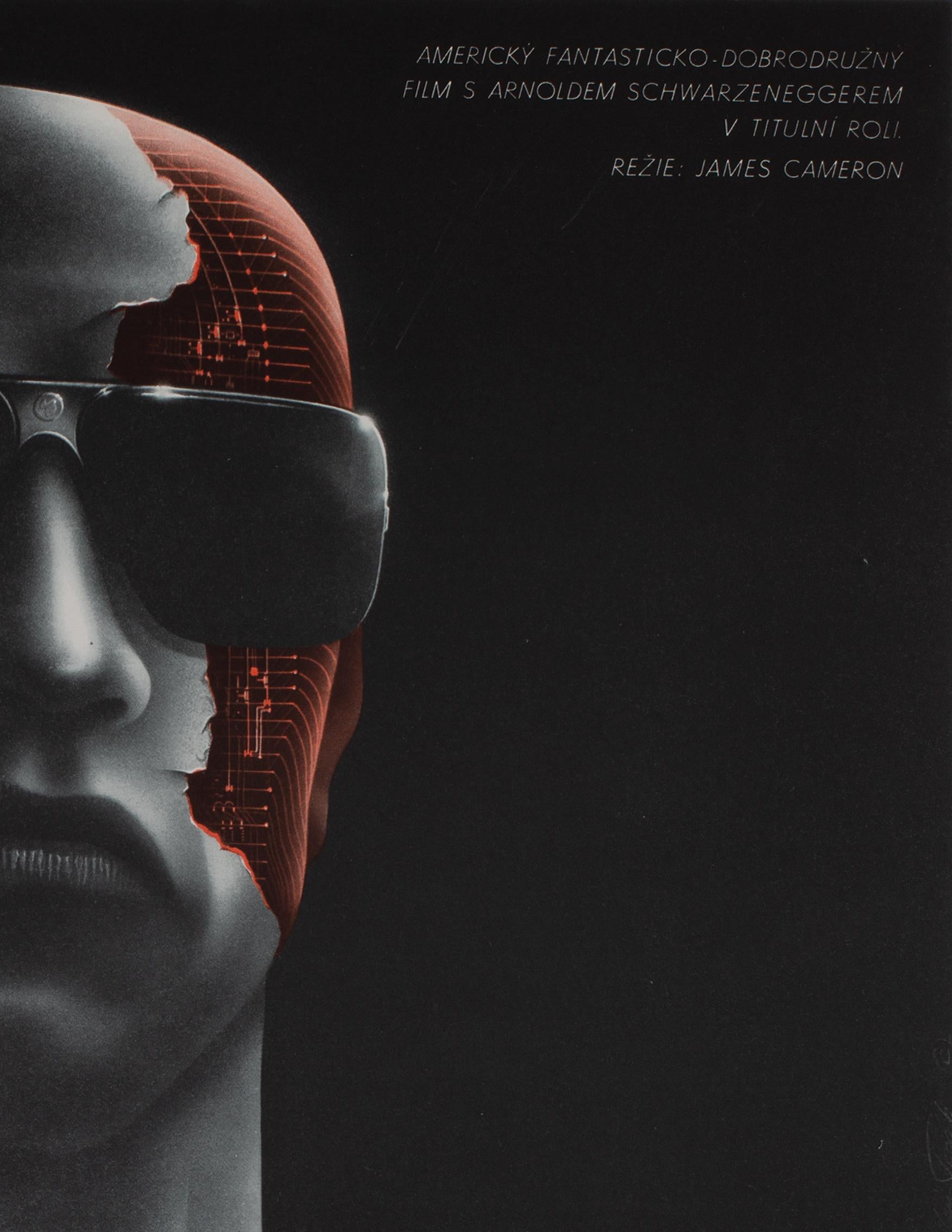 The Terminator 1984 Tschechischer A3 Film Filmplakat, Pecak (20. Jahrhundert) im Angebot