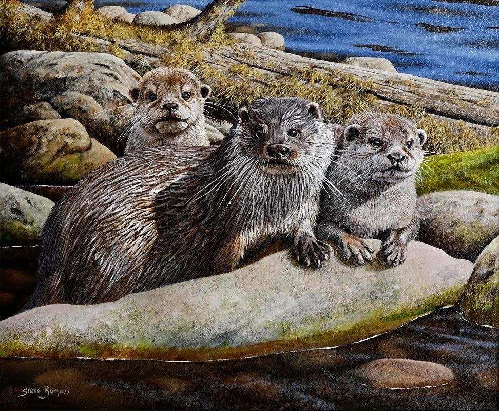 Modern The Three Amigos  Oil on Board Painting Carnivorous Mammals Otters Steve Burgess For Sale