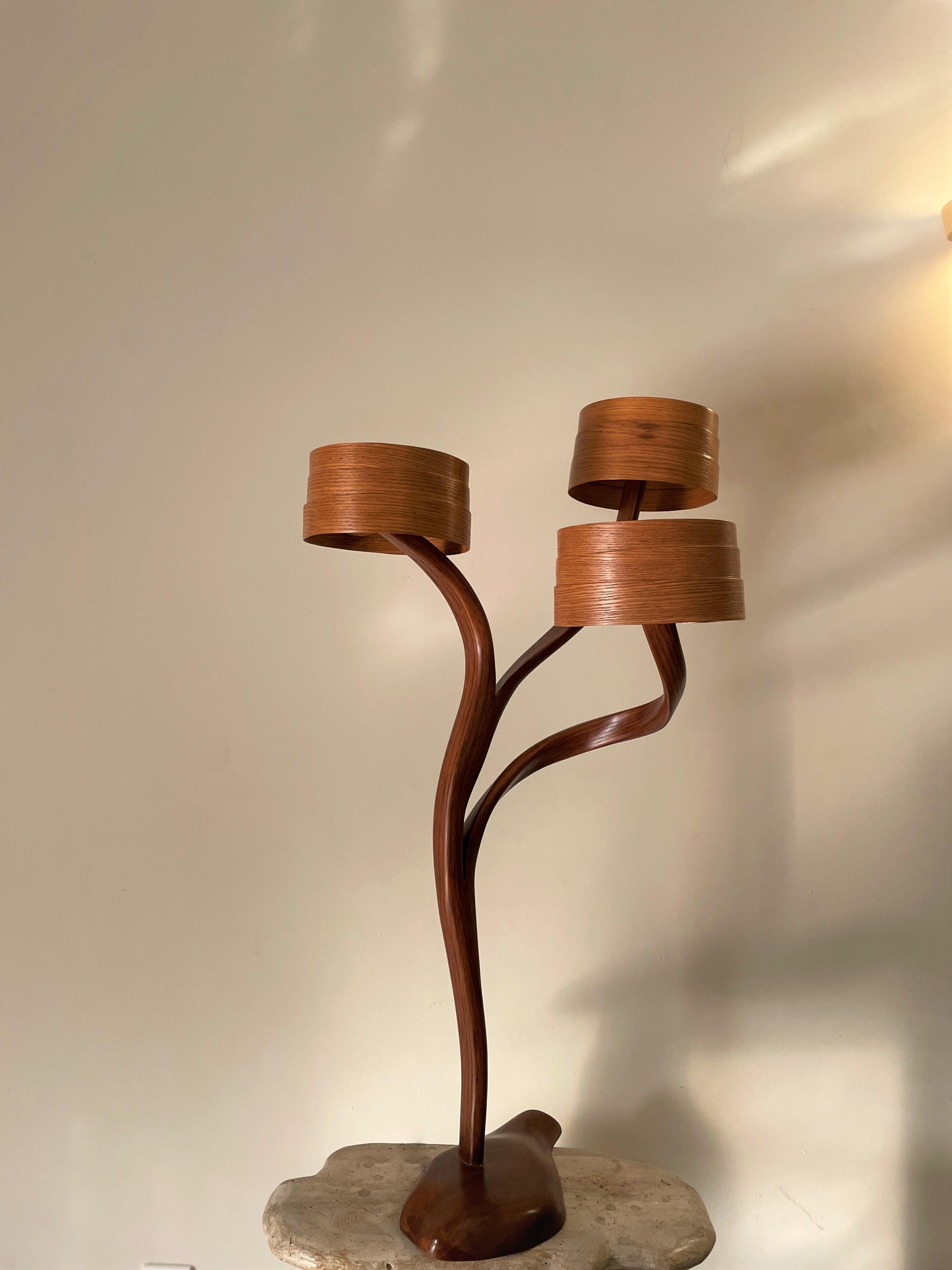 Organique Lampe d'appoint n° 3 de la série Vrksa, par Raka Studio en vente