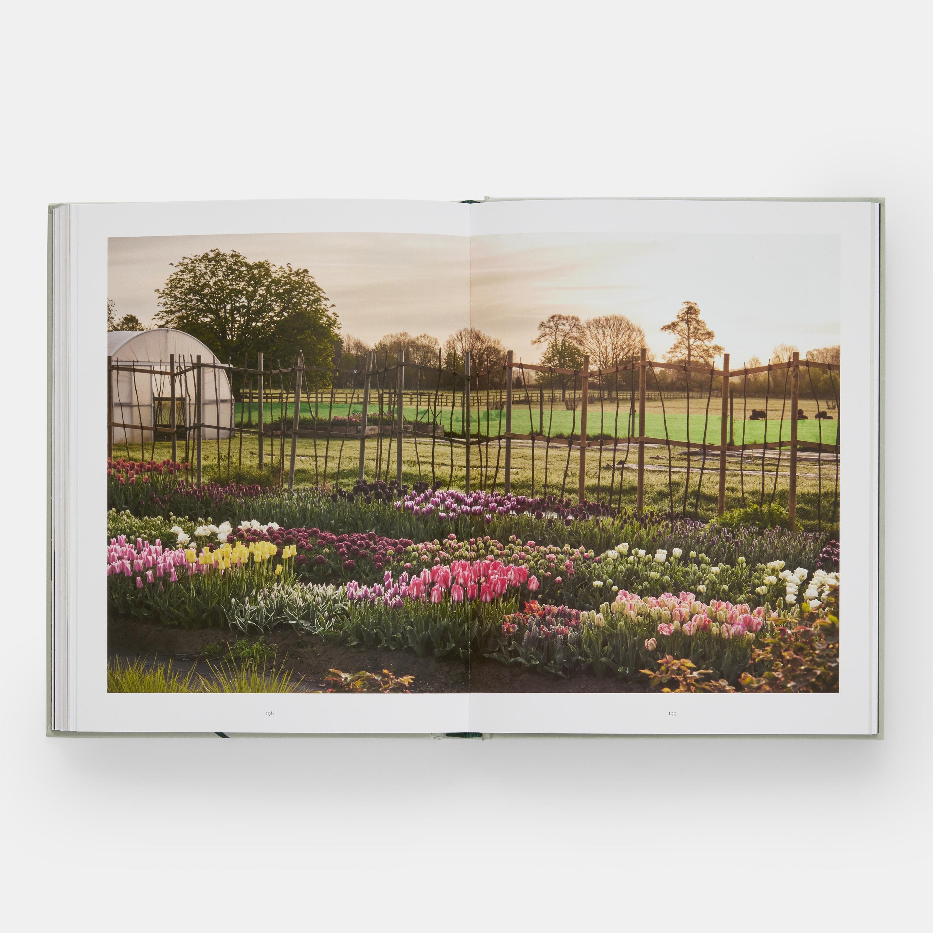 Chinese The Tulip Garden Growing and Collecting Species, Rare and Annual Varieties For Sale