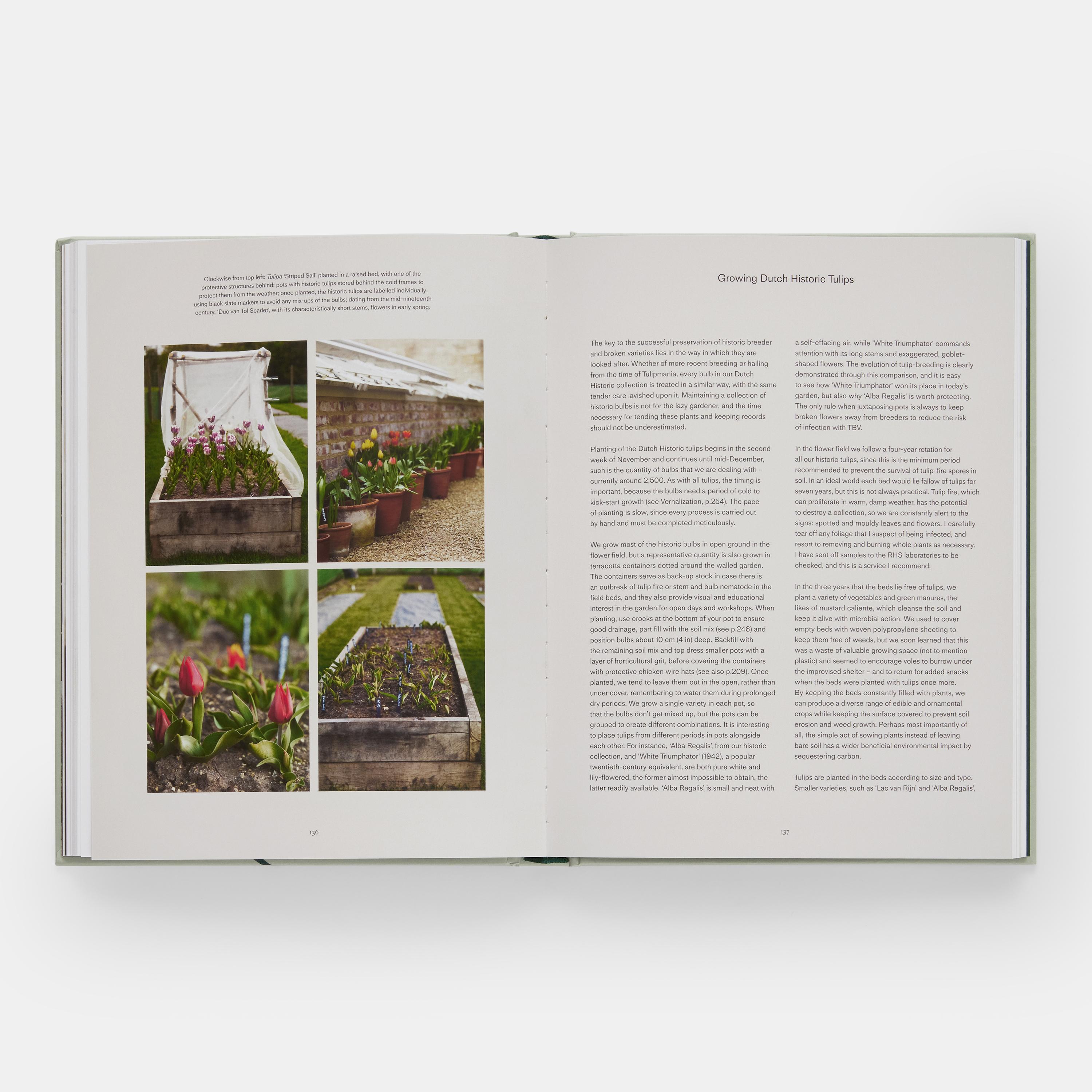 Contemporary The Tulip Garden Growing and Collecting Species, Rare and Annual Varieties For Sale