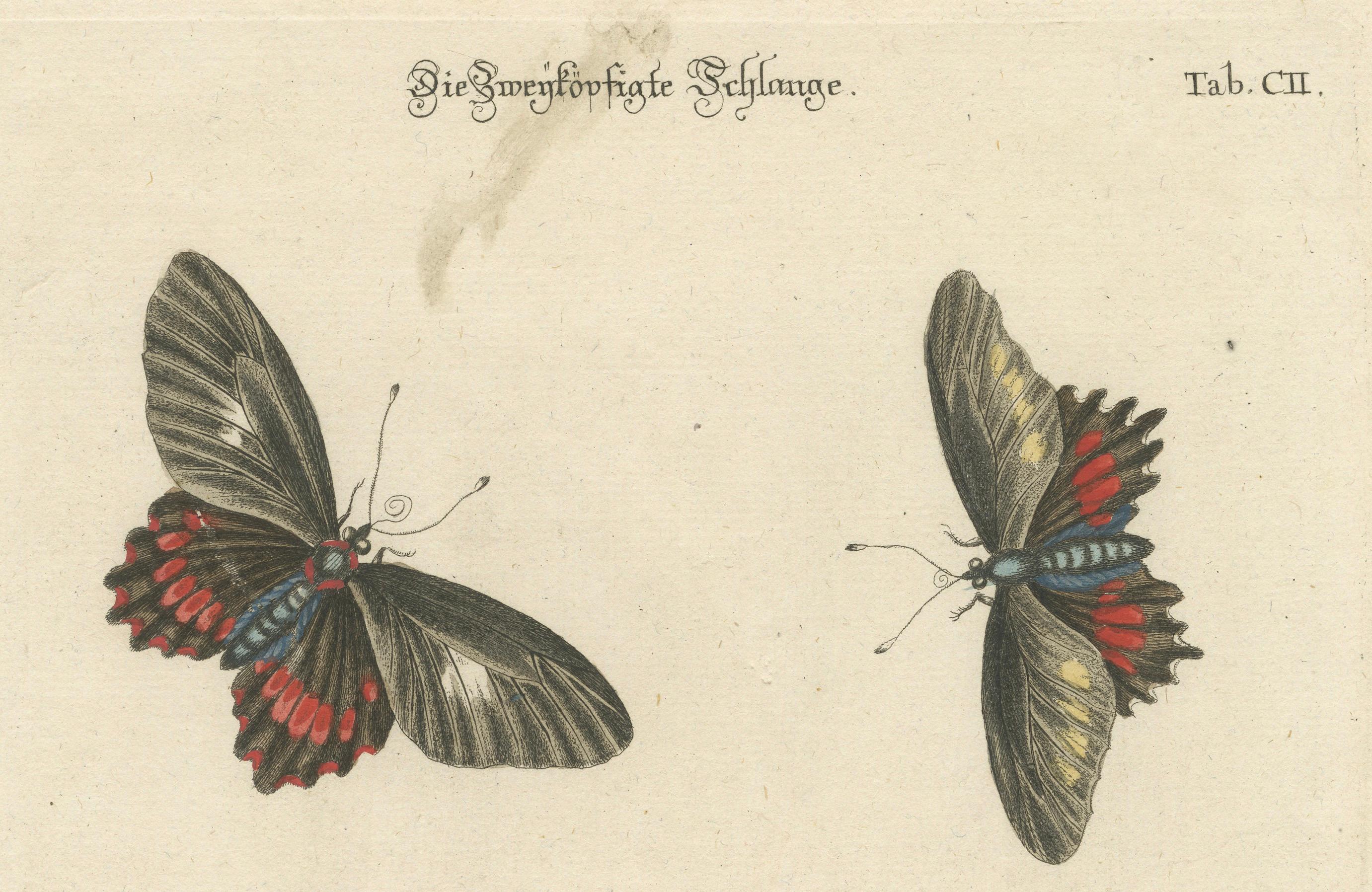 Milieu du XVIIIe siècle The Two-Headed Serpent and the Black Butterfly (Le serpent à deux têtes et le papillon noir), 1749 en vente