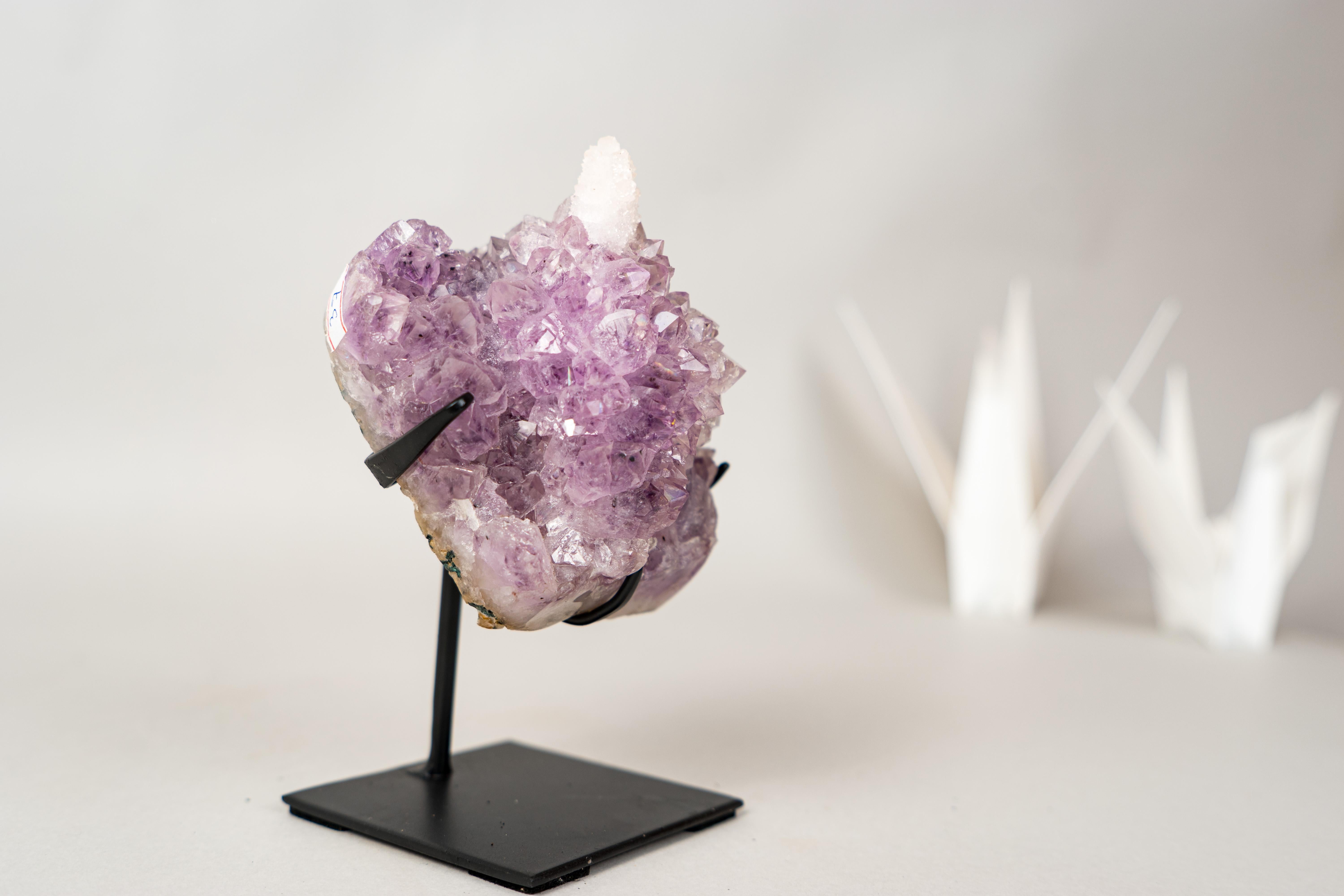 L'Unicorno - Raro fiore di ametista con inclusione di cristallo di calcite In condizioni Nuovo in vendita a Ametista Do Sul, BR