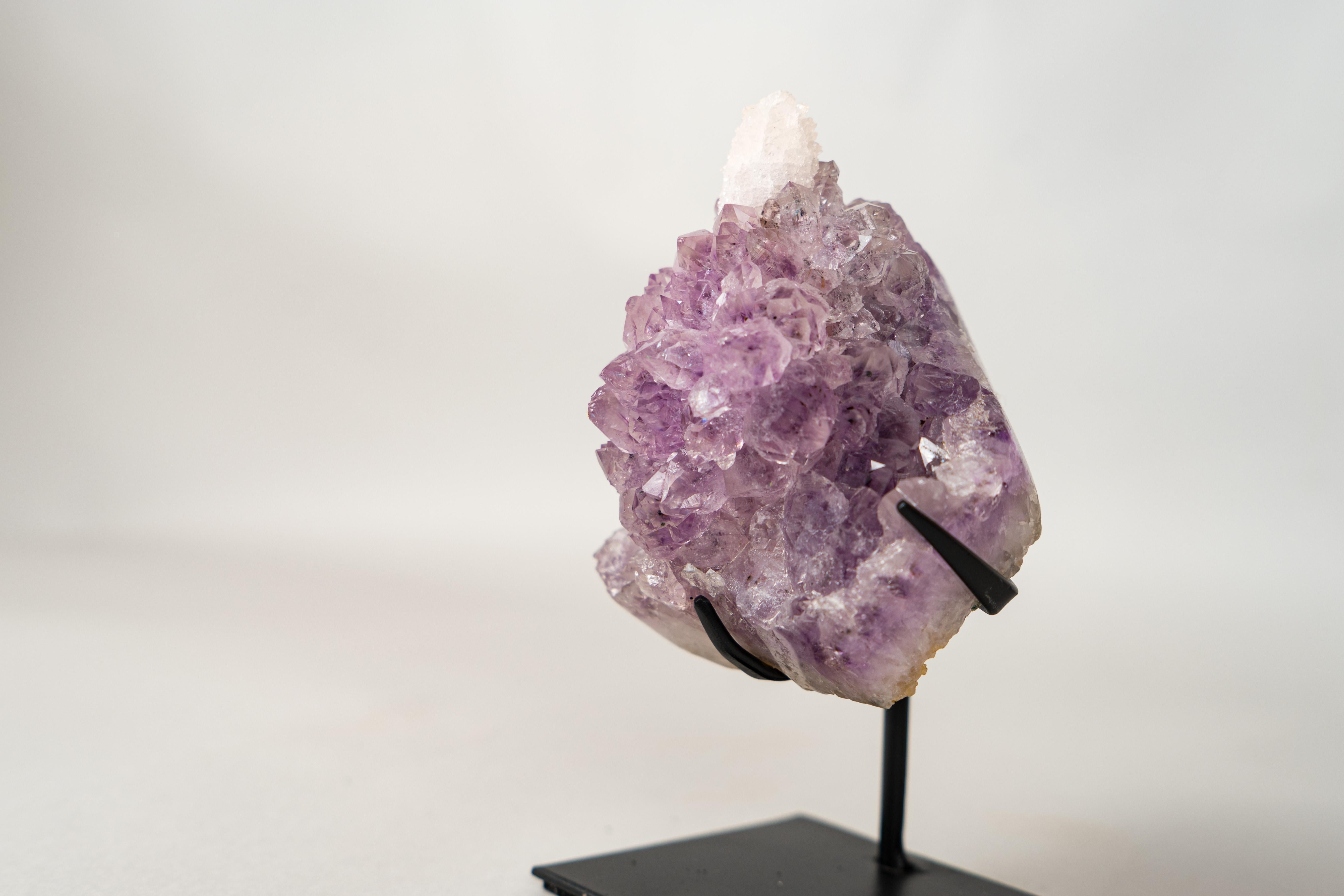 XXI secolo e contemporaneo L'Unicorno - Raro fiore di ametista con inclusione di cristallo di calcite in vendita