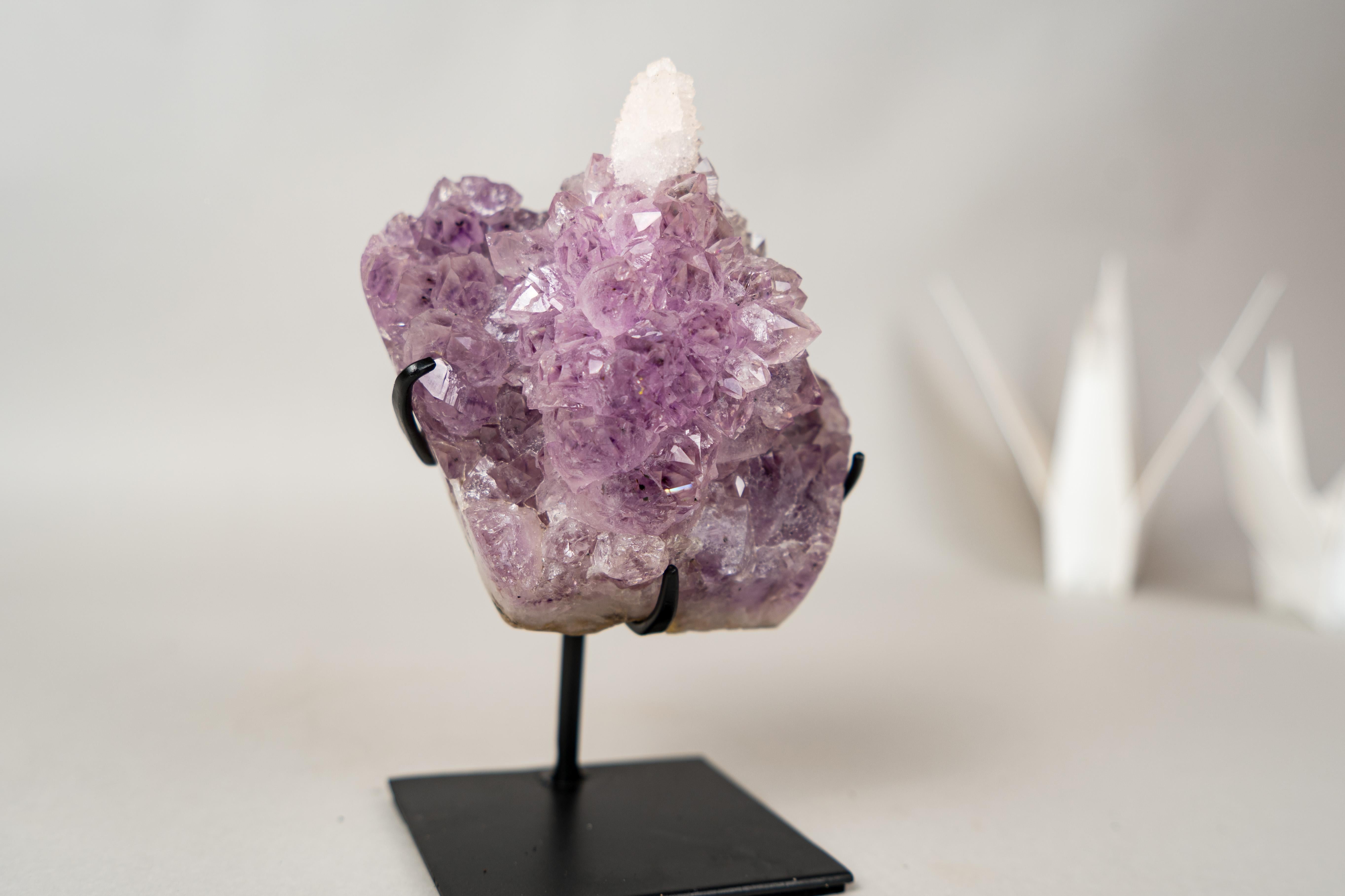 Cristallo L'Unicorno - Raro fiore di ametista con inclusione di cristallo di calcite in vendita