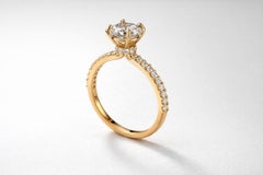 The Veiled Halo Round Brilliant Moissanite Engagement 14k Gold Ring