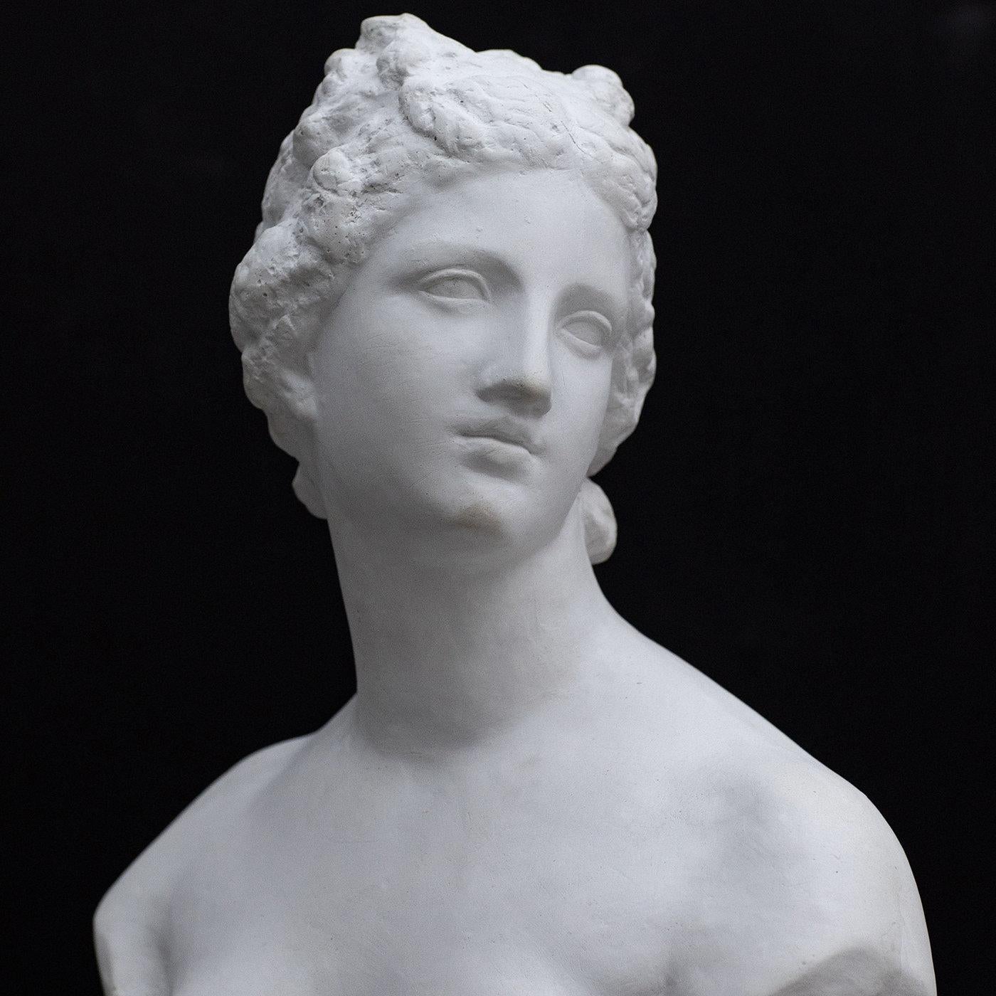 Escultura Venus de Médicis de la Galería Romanelli en Nuevo estado para la venta en Milan, IT