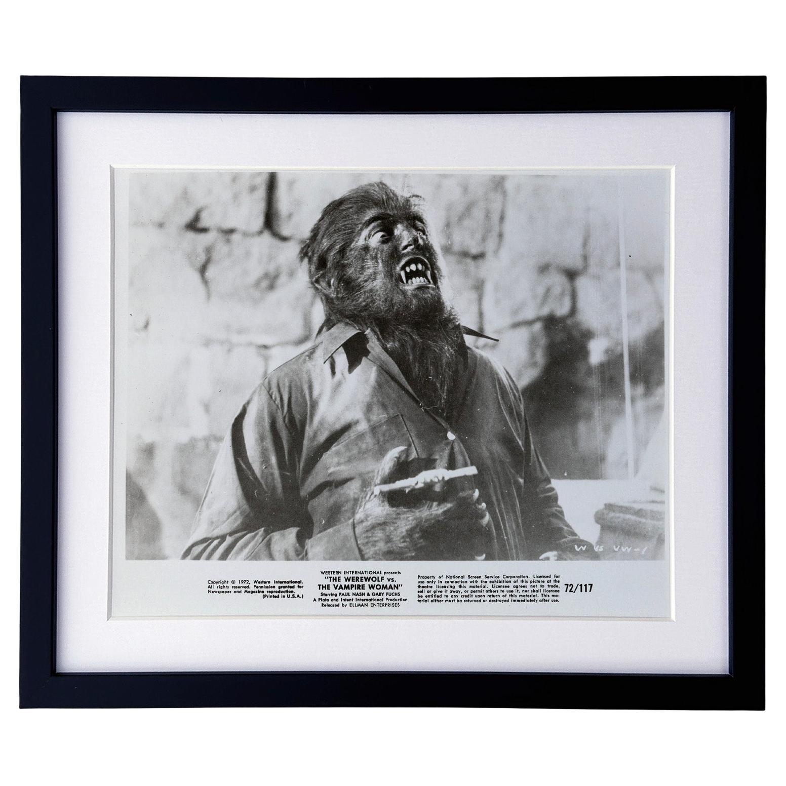 Der Werwolf gegen die Vampirfrau (1971) Pressestatement - gerahmt
