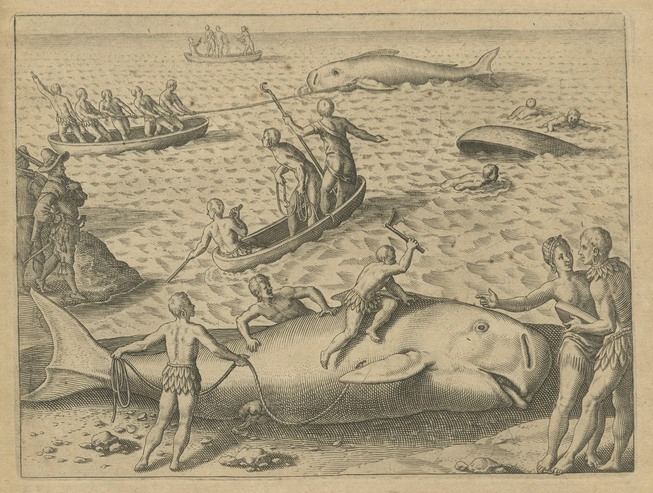Engraved The Whale Harvest of St. Mary's Island - Copper Engraving by de Bry, 1601 For Sale