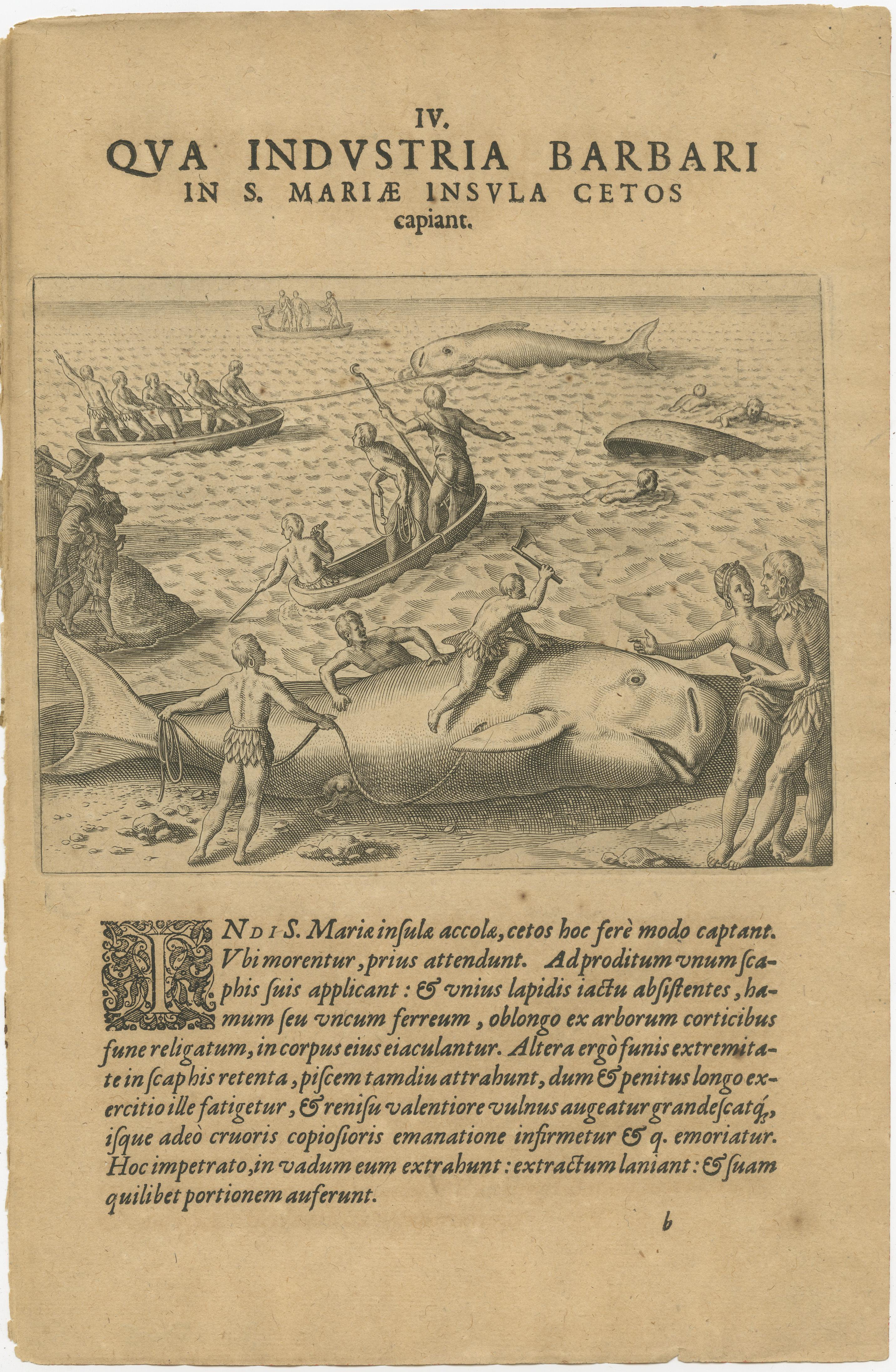 Paper The Whale Harvest of St. Mary's Island - Copper Engraving by de Bry, 1601 For Sale