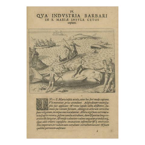The Whale Harvest of St. Mary's Island - Copper Engraving by de Bry, 1601