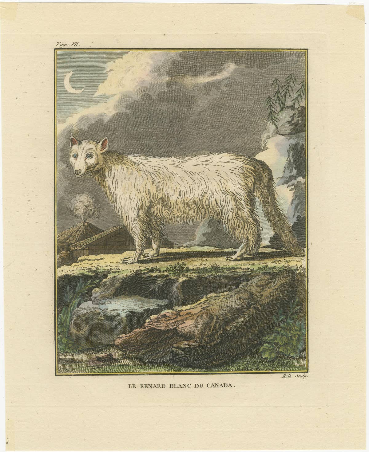 The White Fox of Canada – Elegant Arctic Wildlife Engraving Under Moonlight 1801