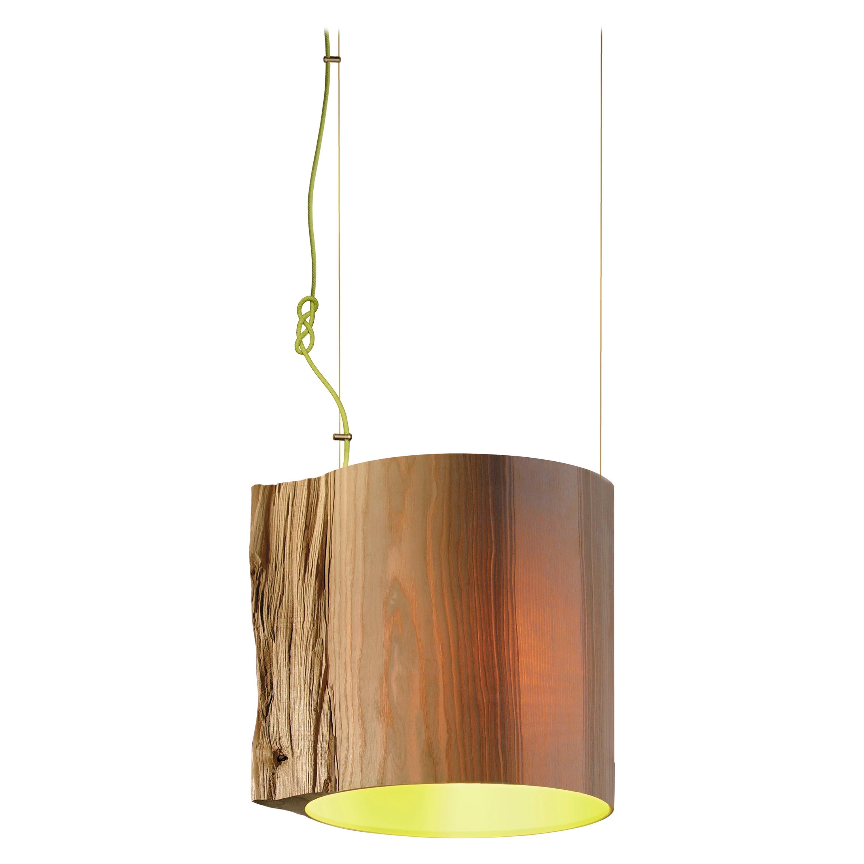 The Wise One Pendant Light / Green For Sale