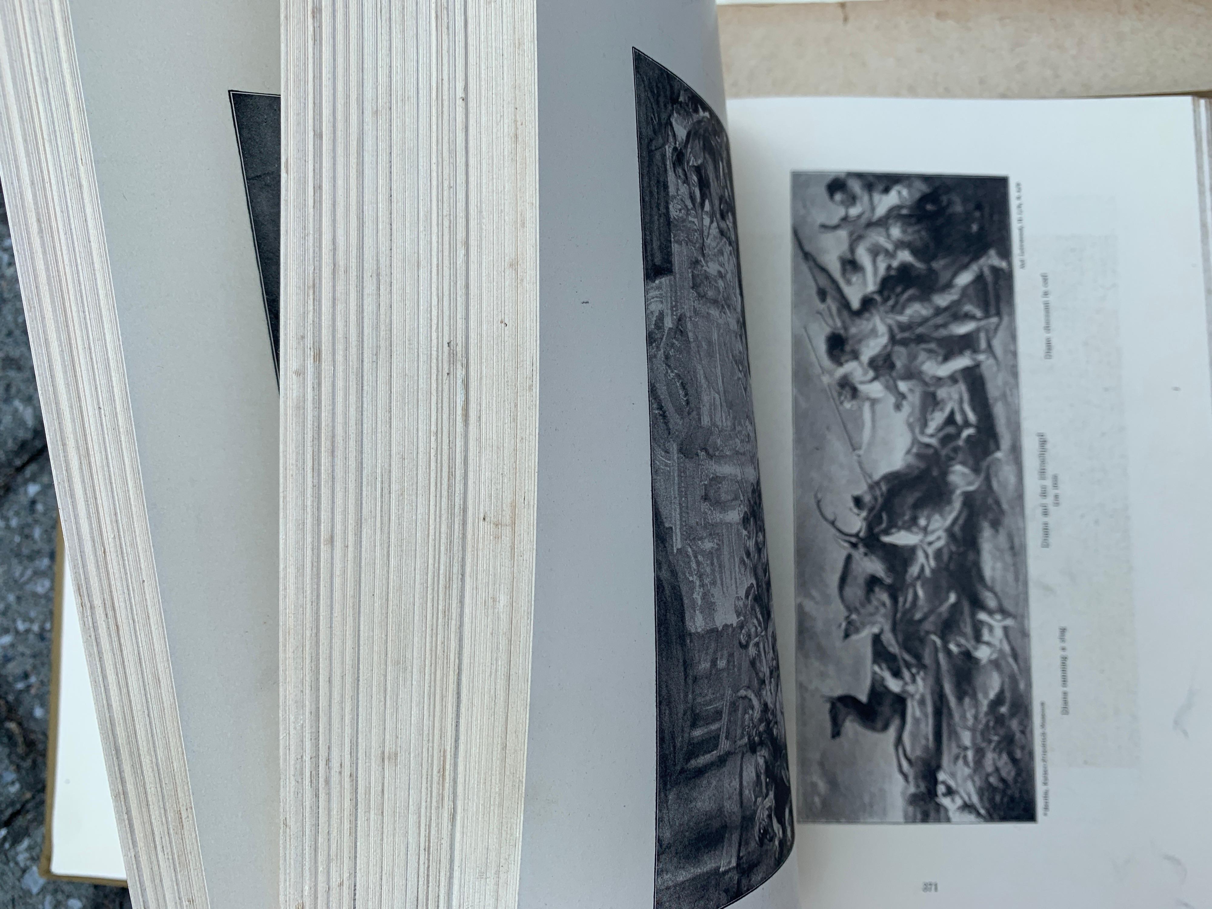 Spanish The Works of P.P.Rubens, 551 Illustrations, Adolf Rosenberg, Leipzig, 1911