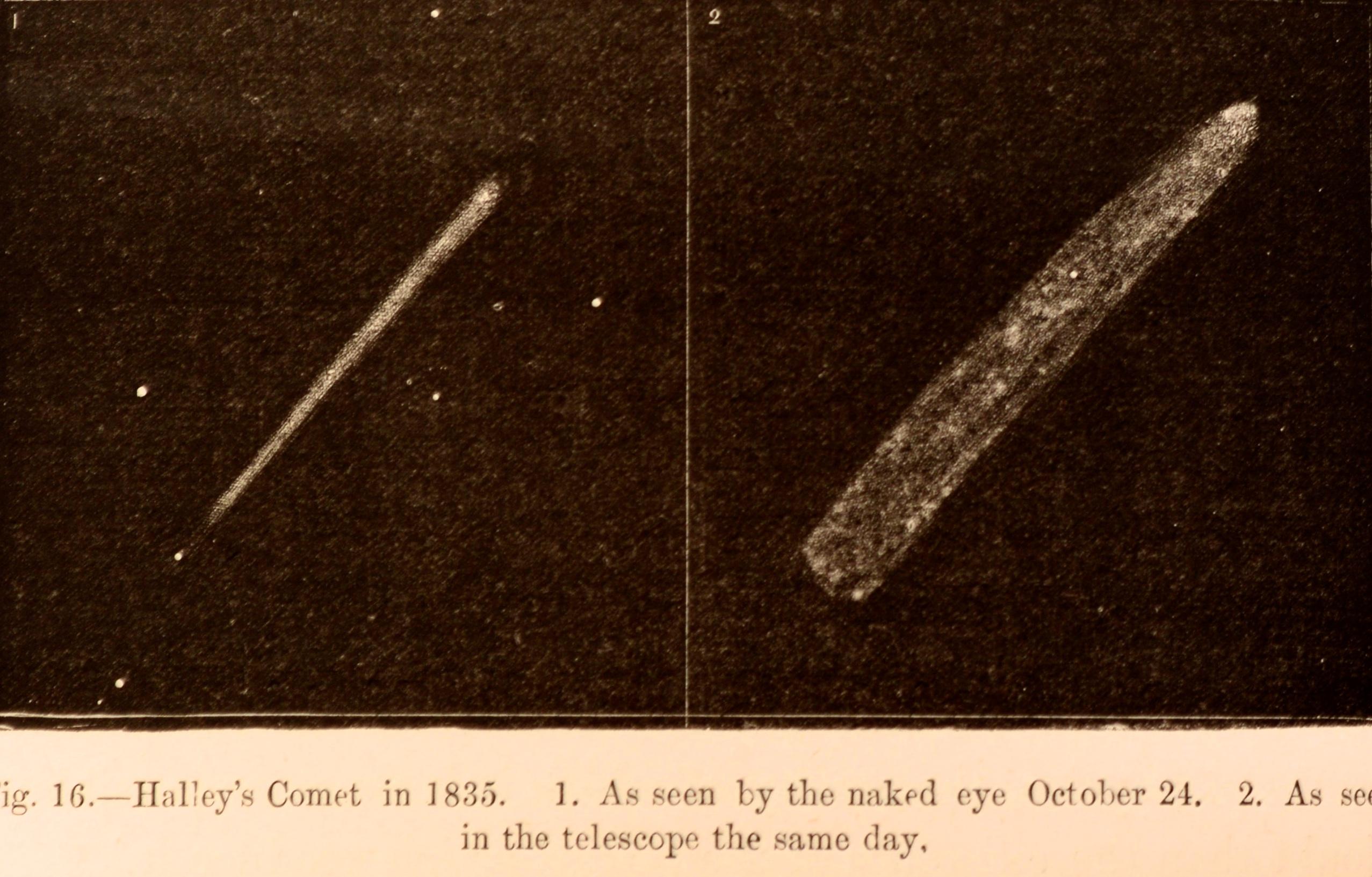 World of Comets (Le monde des comètes), traduit par James Glaisher, reliure en cuir, 1ère édition en vente 1