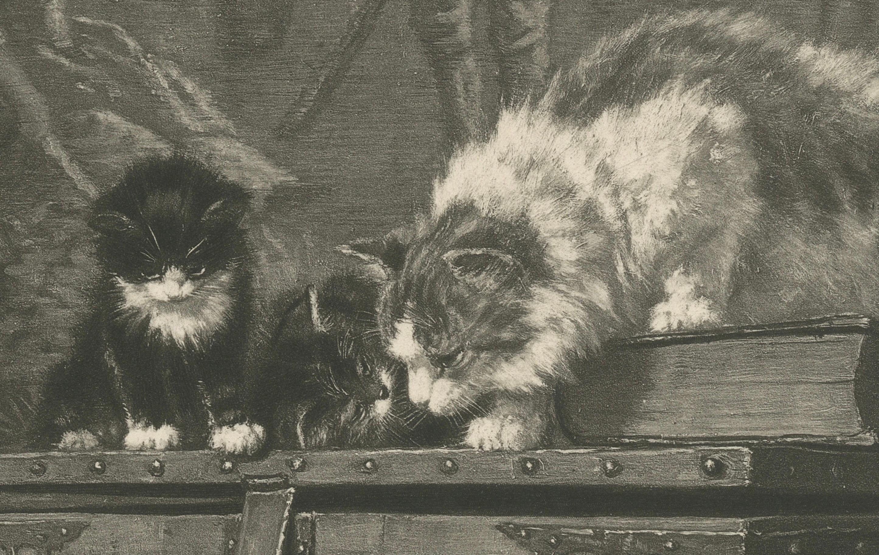 Late 19th Century 