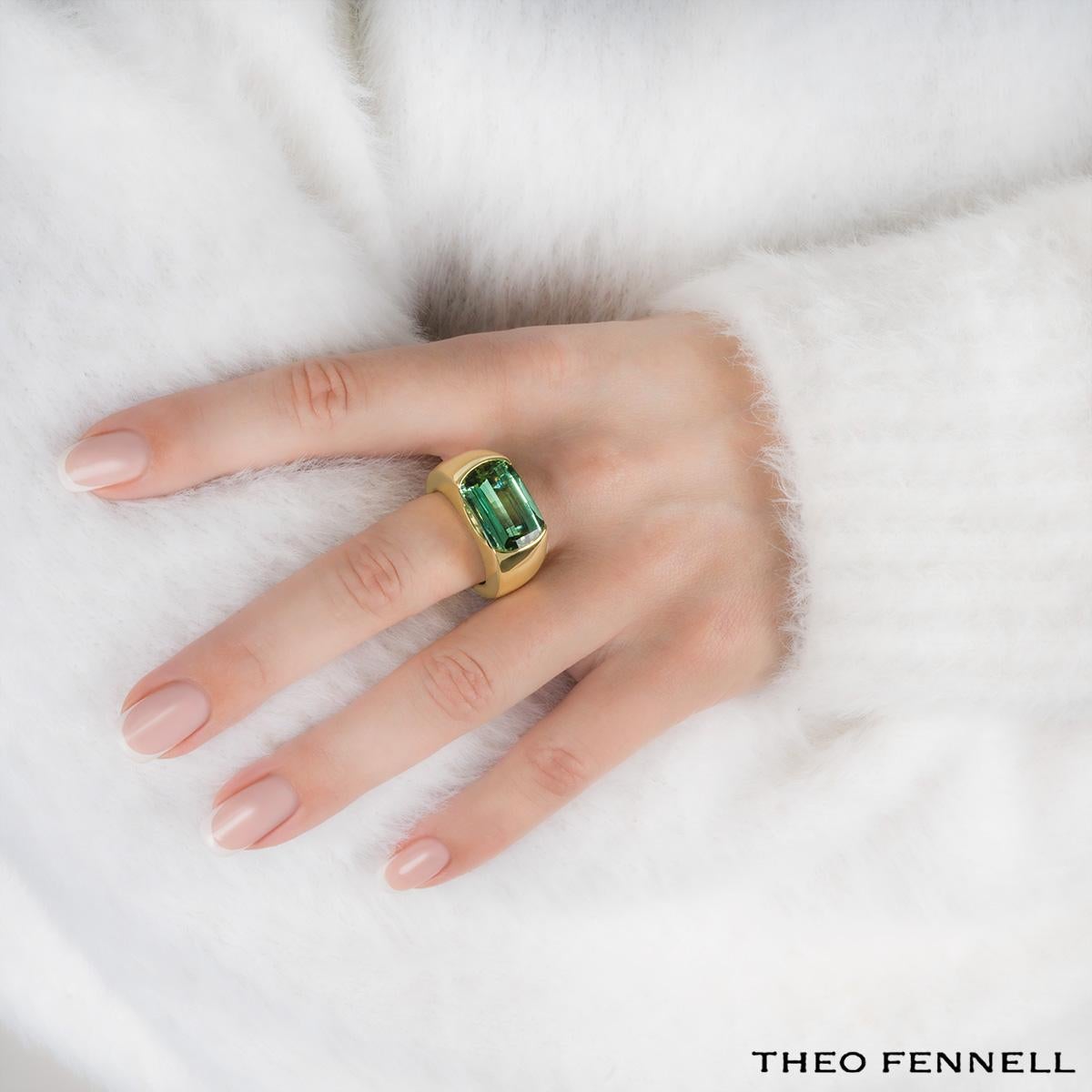 Fennell Gelbgold Namibian Grüner Turmalin Arc Ring 12,44 Karat 1