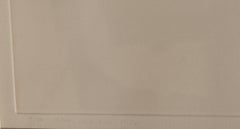 Robert Rauschenberg de la série Mentors