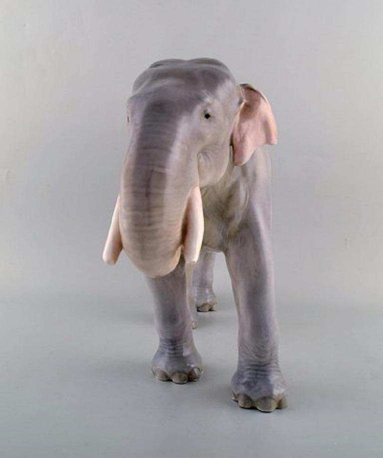 Theodor Madsen für Royal Copenhagen. Seltene Porzellanfigur. Kolossaler Elefant. Datiert auf ca. 1910. Modellnummer 447.
Maße: 42 x 30 cm.
In sehr gutem Zustand.
Gestempelt.

  